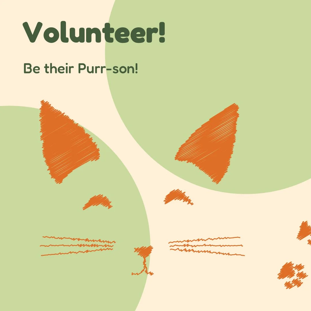 Nelson_Brandon_SocialMedia_Volunteer-01.jpg