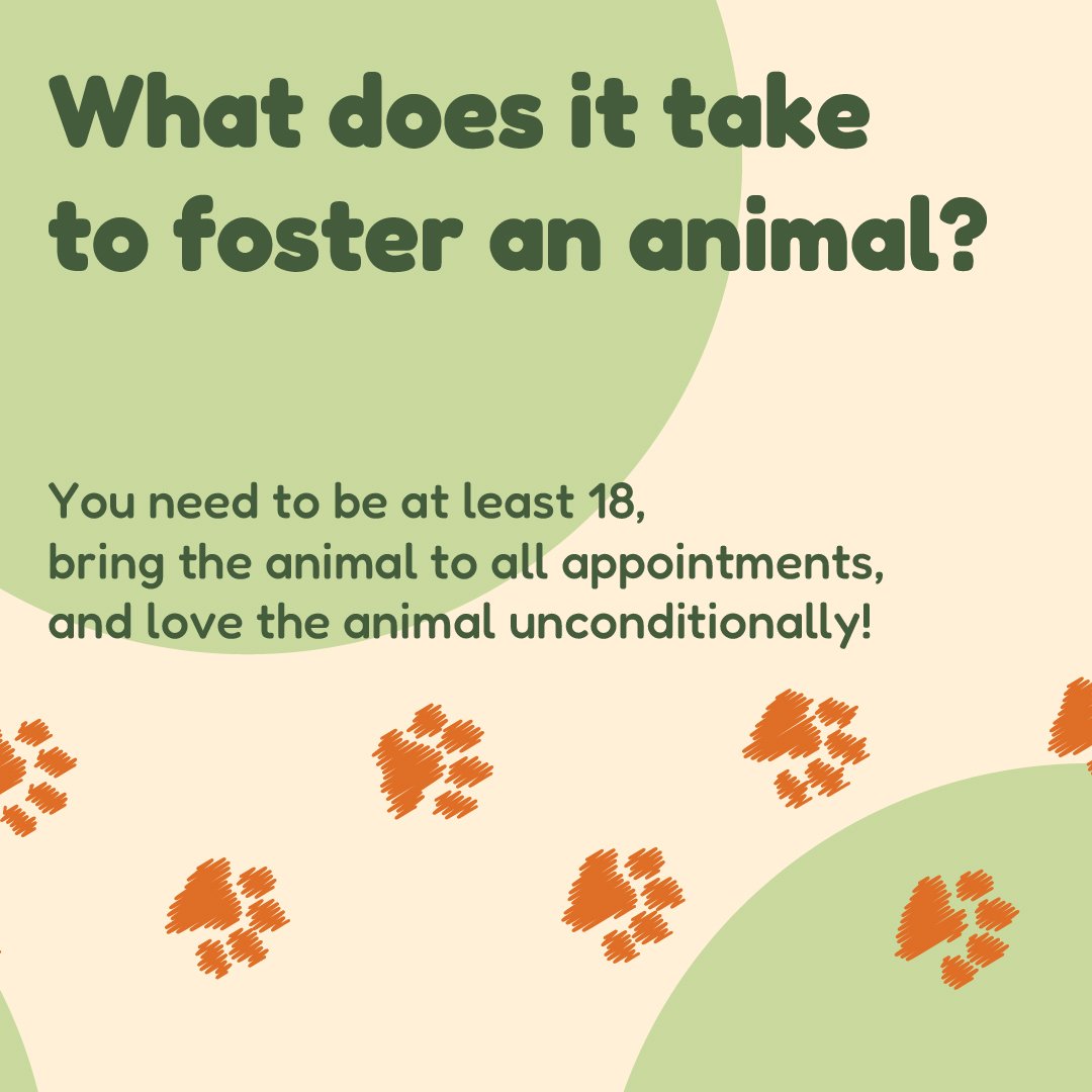Nelson_Brandon_SocialMedia_Foster-02.jpg