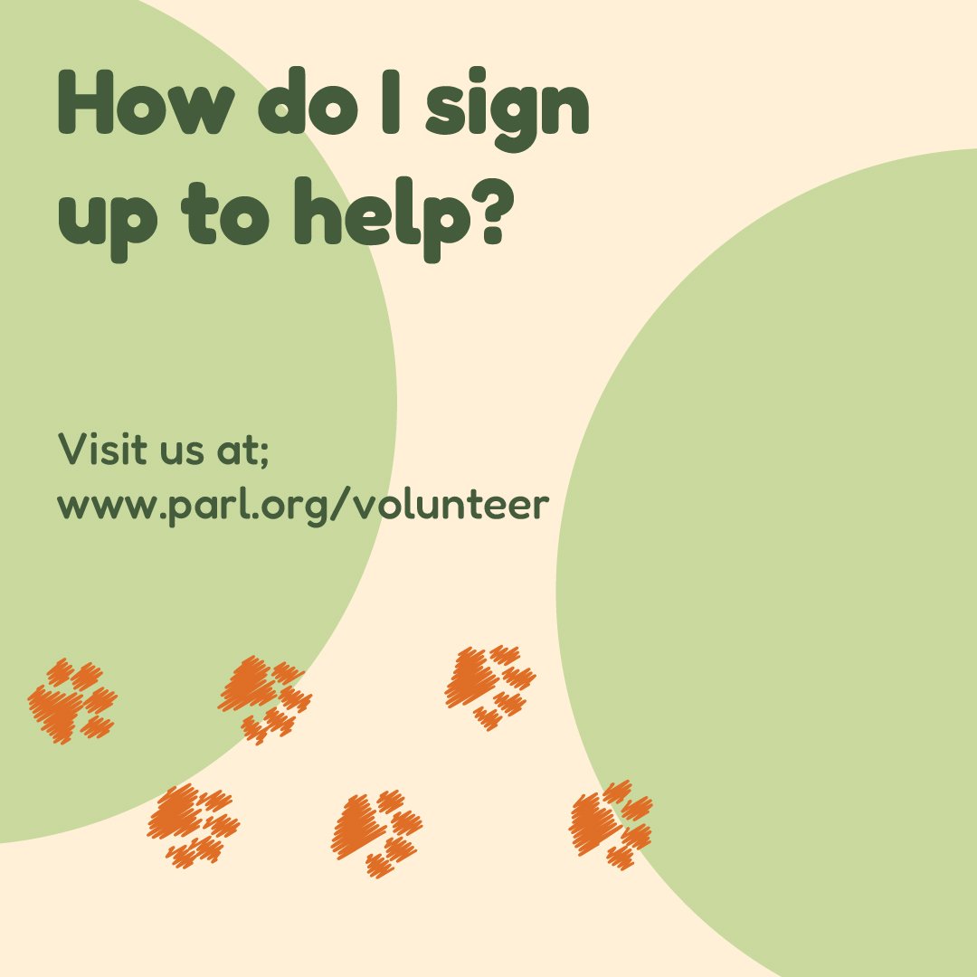 Nelson_Brandon_SocialMedia_Volunteer-03.jpg