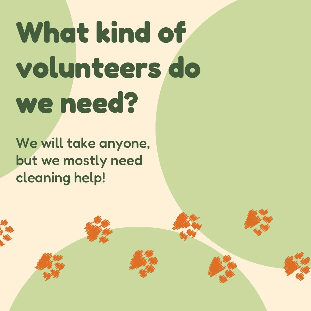 Nelson_Brandon_SocialMedia_Volunteer-02.jpg