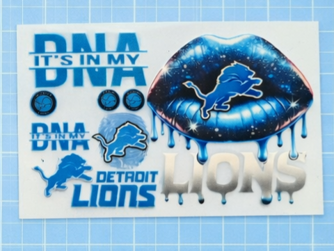 Detroit Lions Debit/Credit Card Skin