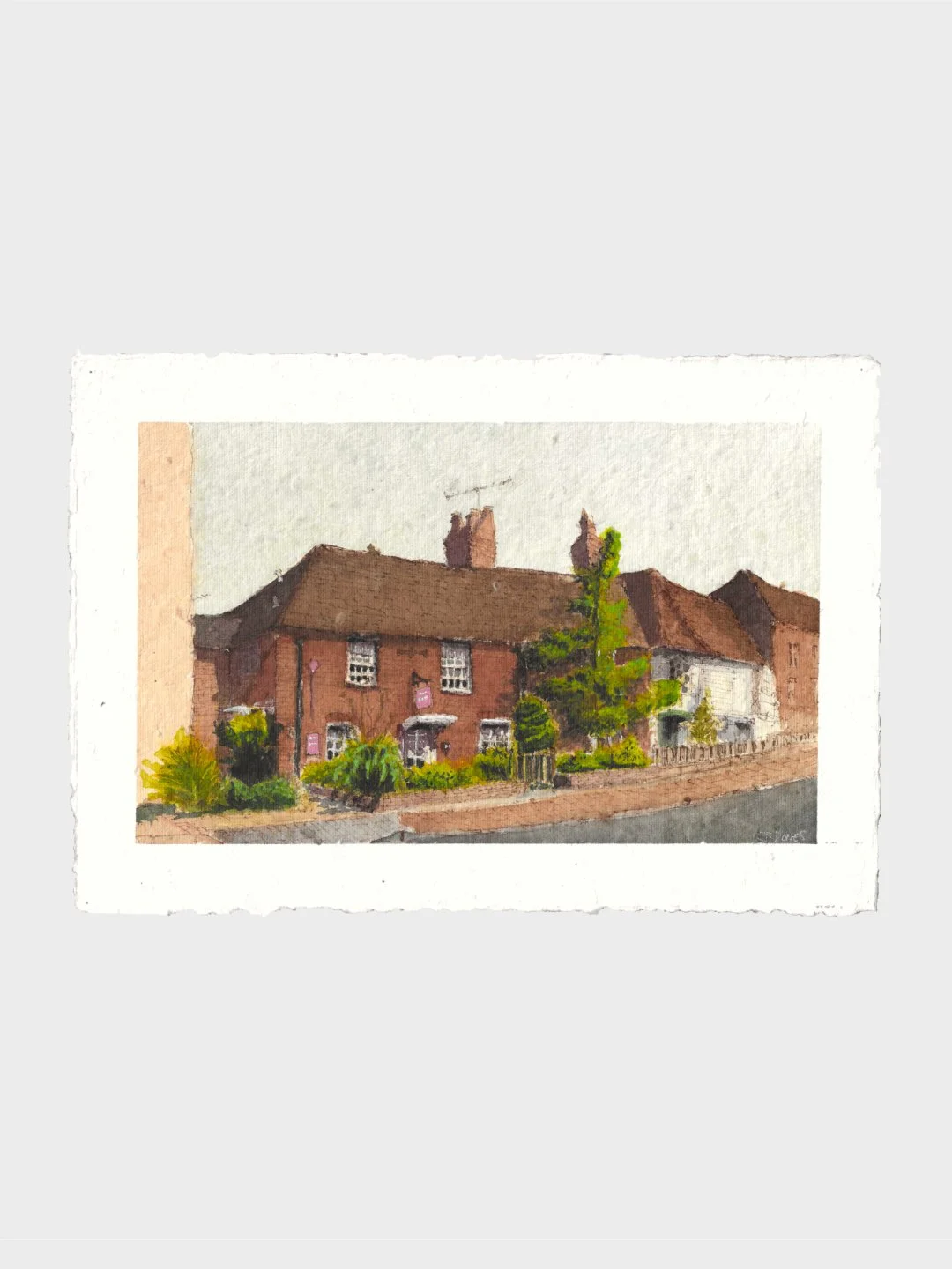<i>ROSE STREET</i>