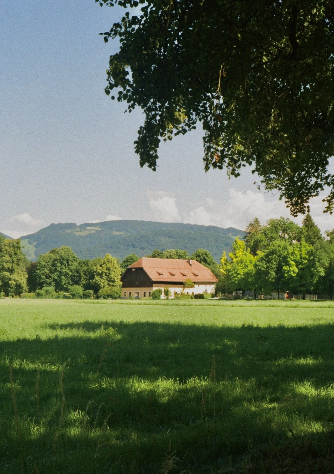 SHOT ON FILM