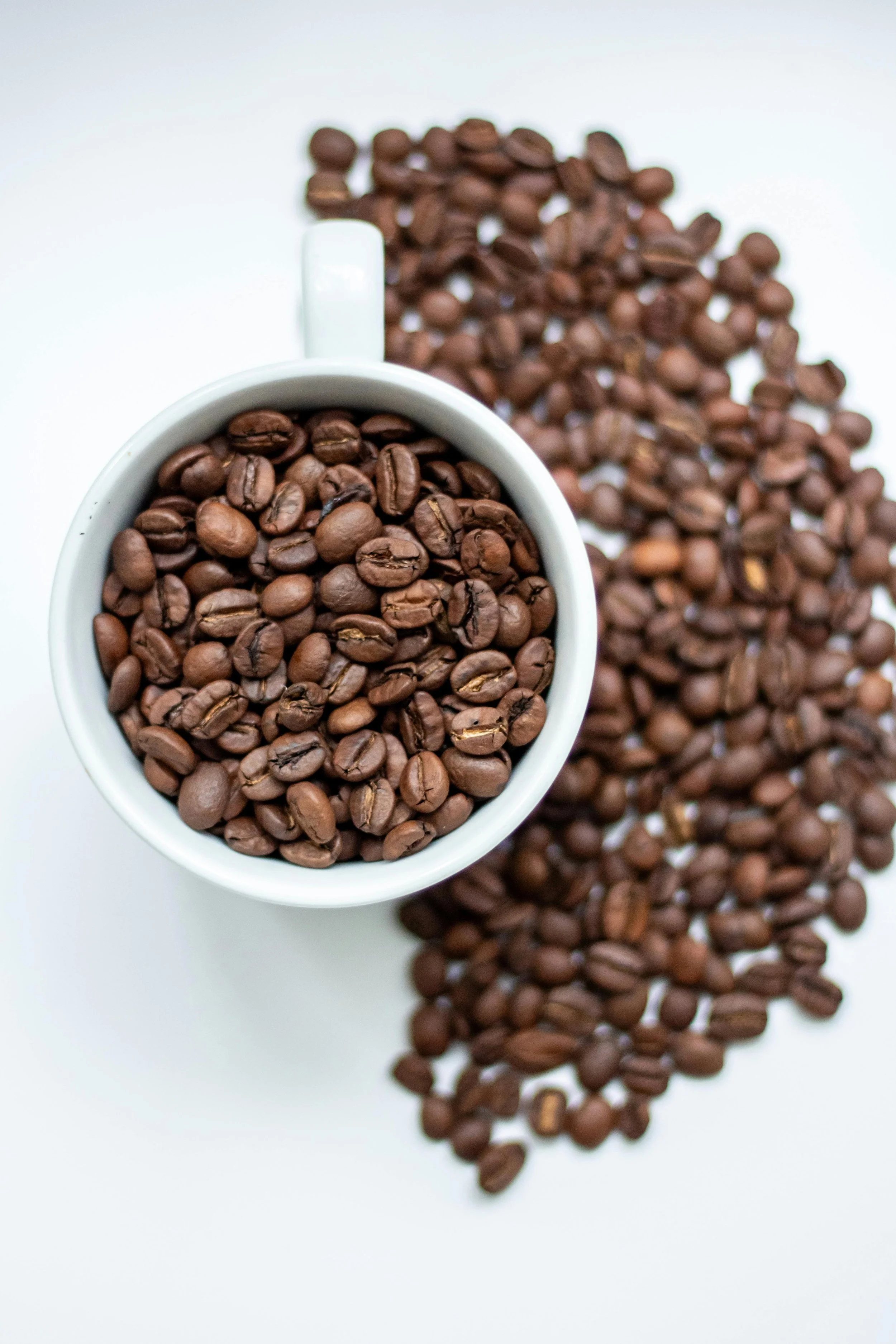 coffee house