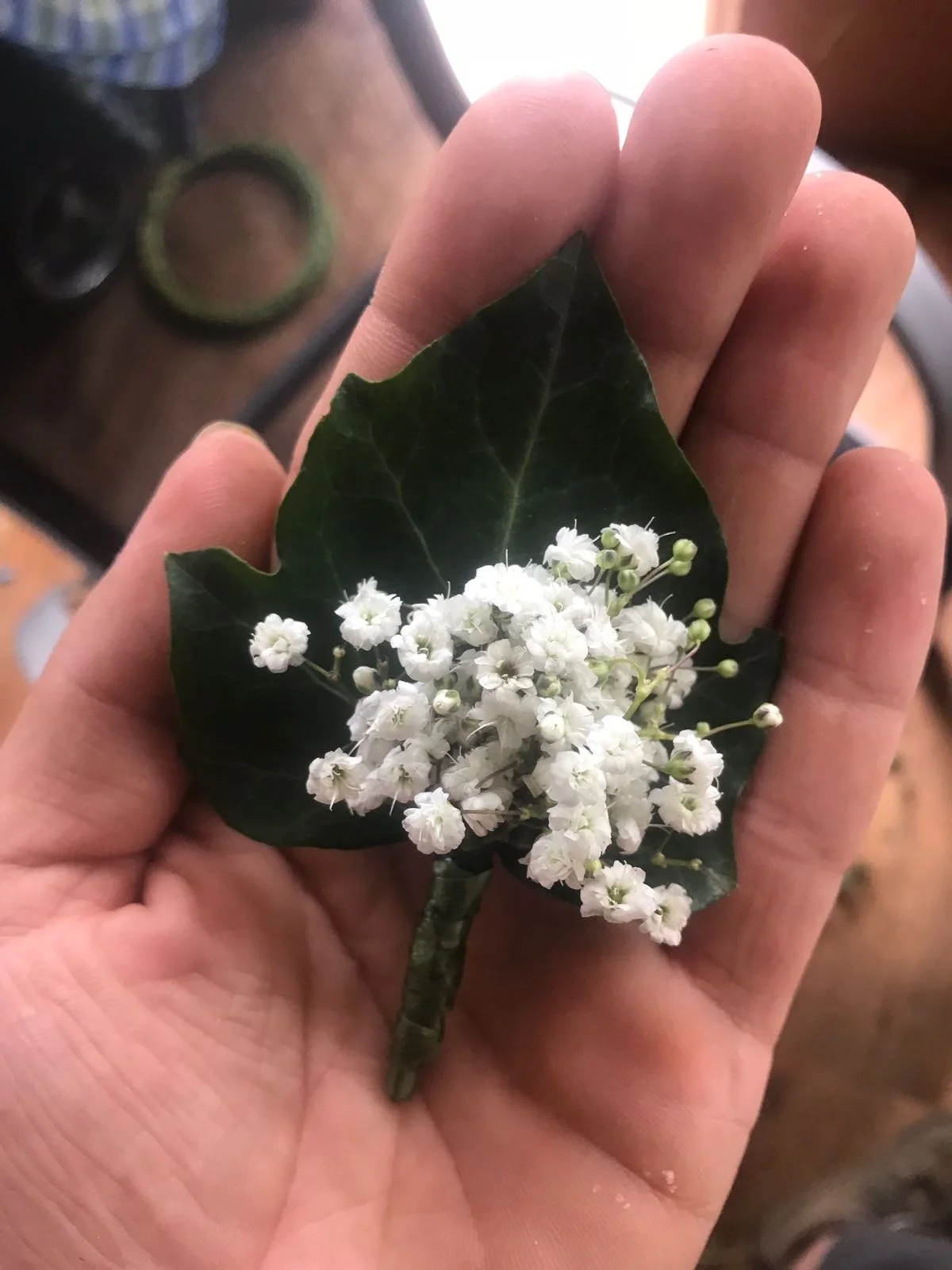 b12971c5-474f-4565-ac8f-c9a115b7f9bf - Kopie - Kopie.JPEG