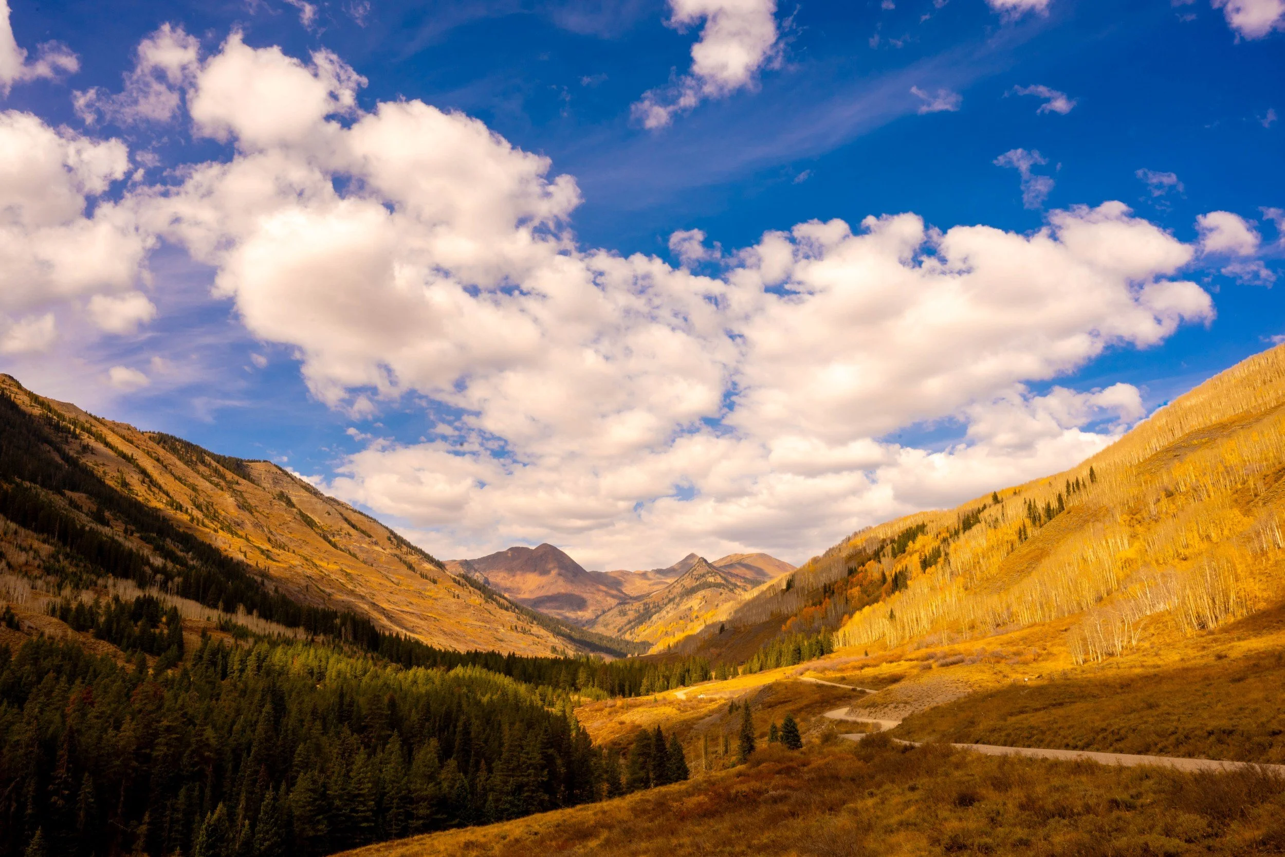 Autumn Aspens turning gold along Gothic Road in Crested Butte, Colorado archival fine art landscape print by Photon Obscura