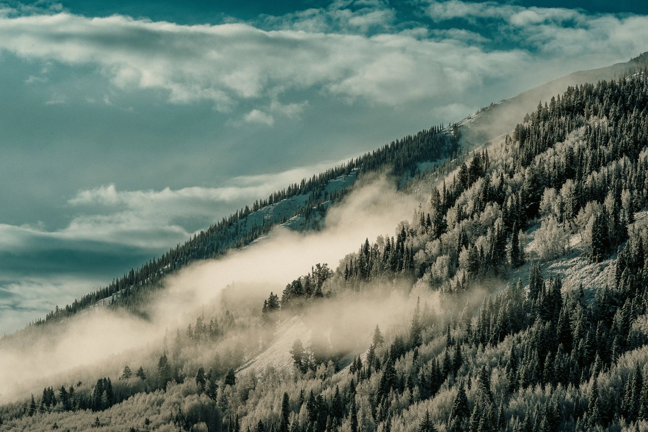Snow-covered pine trees on a mountain slope in Crested Butte, CO - archival fine art print by Photon Obscura