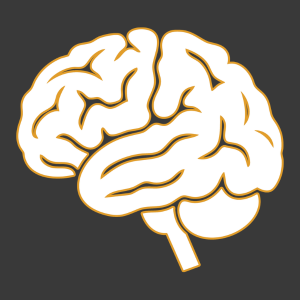 The Neuro-Edge at VICK