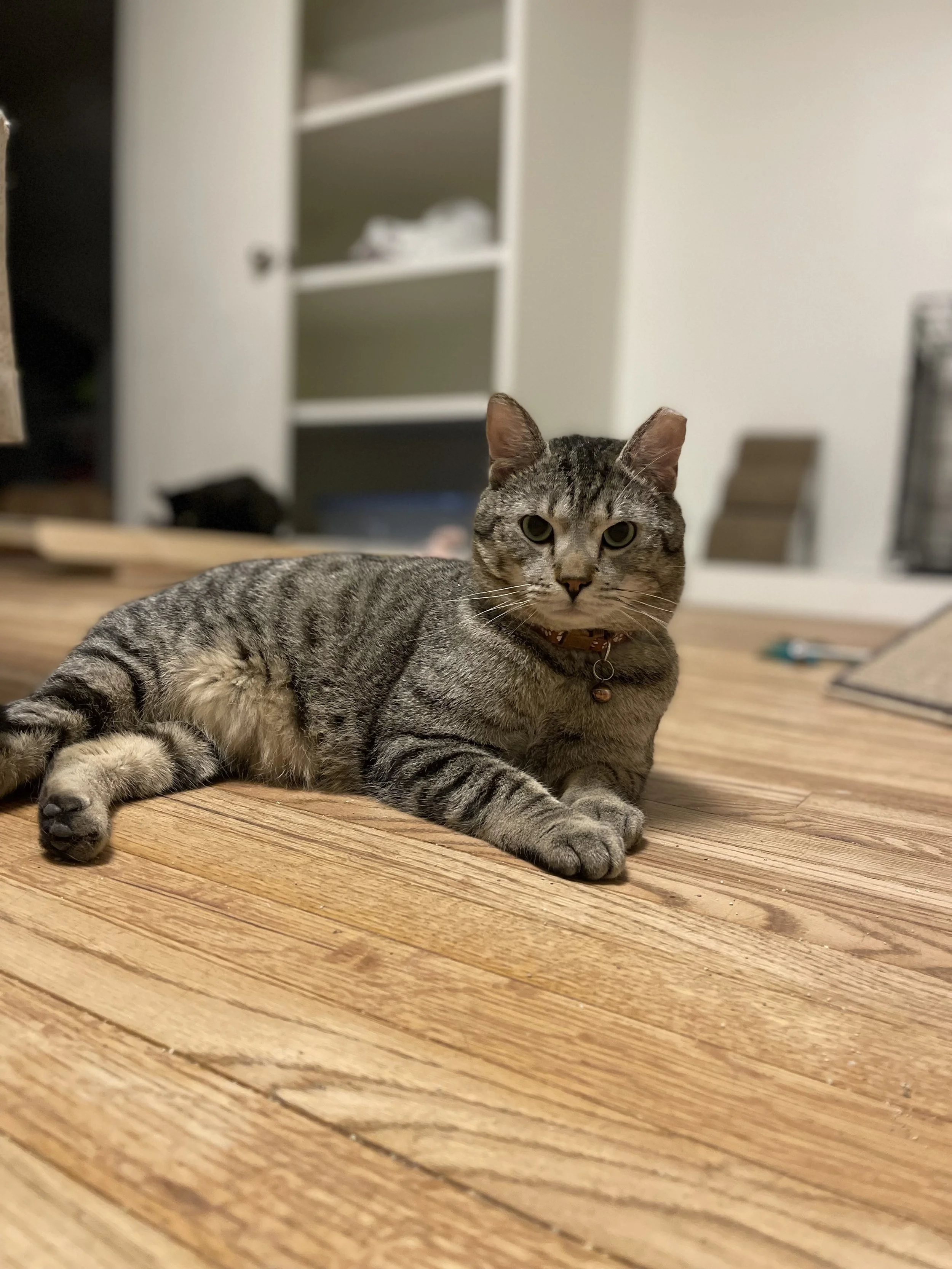 Tom
