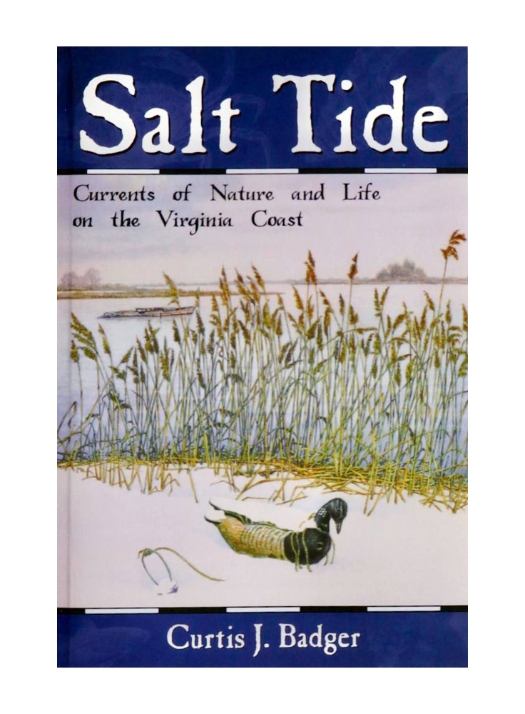 Salt Tide