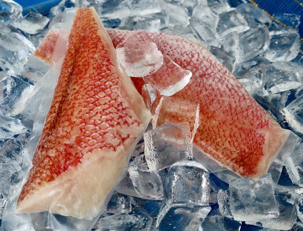 Red Snapper