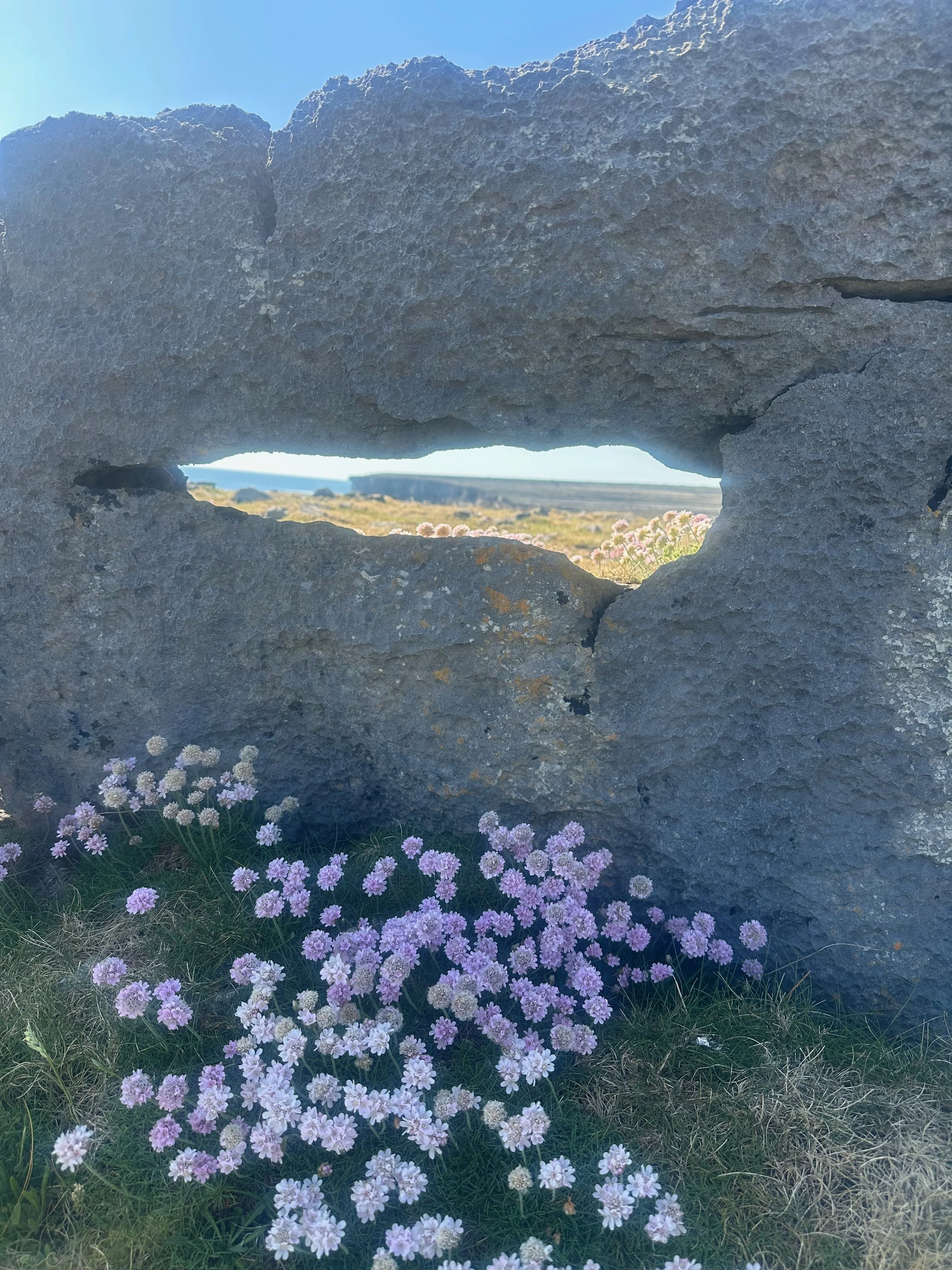 The Middle Way of Soul