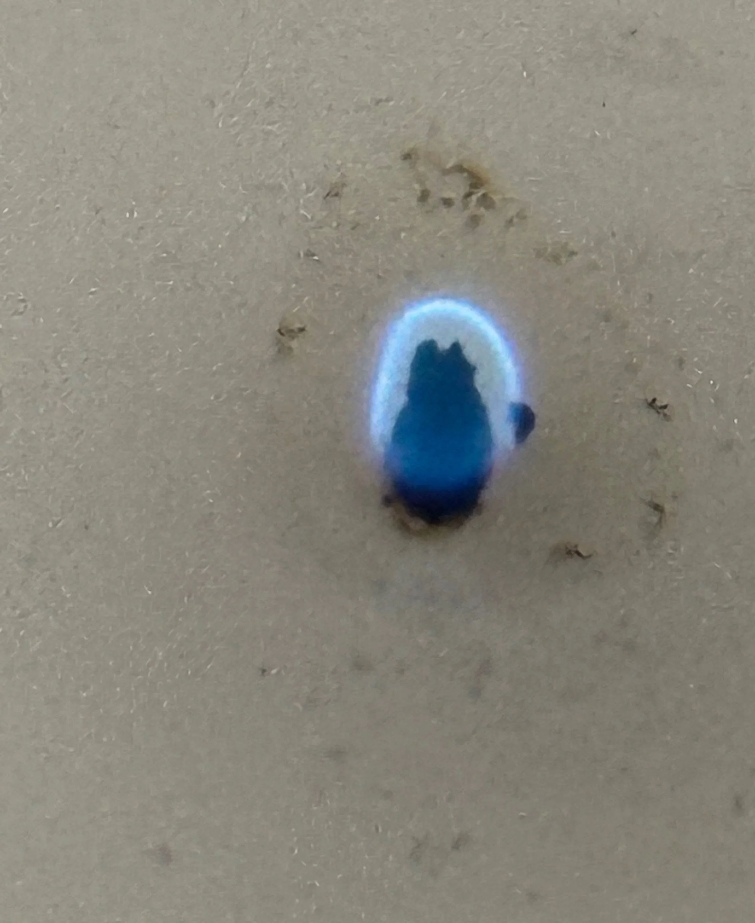 Playing With the Blues….
