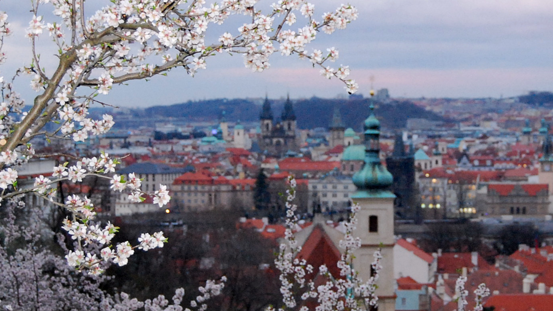 Czech National Symphony Orchestra