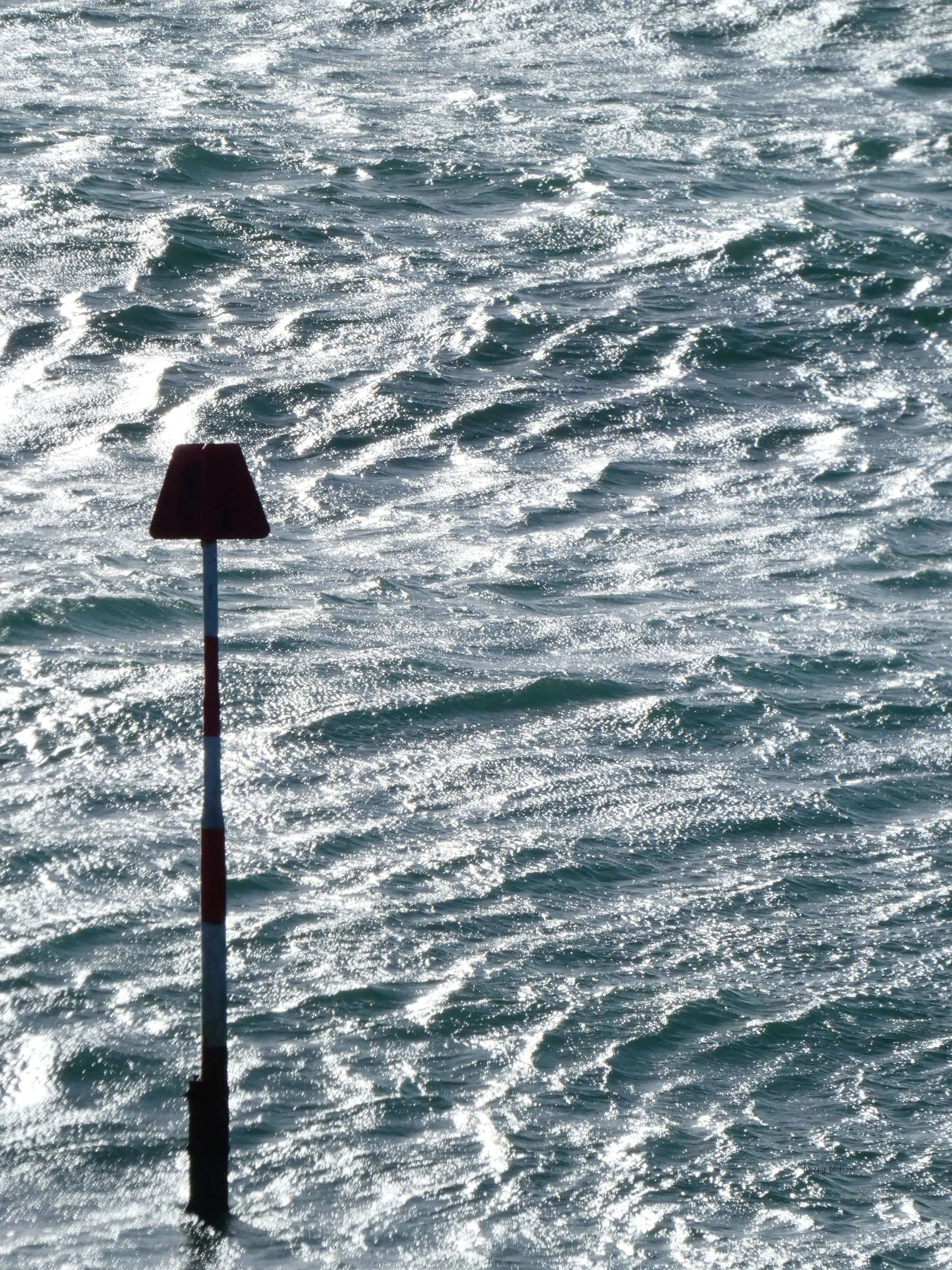 - A day in Salcombe - 