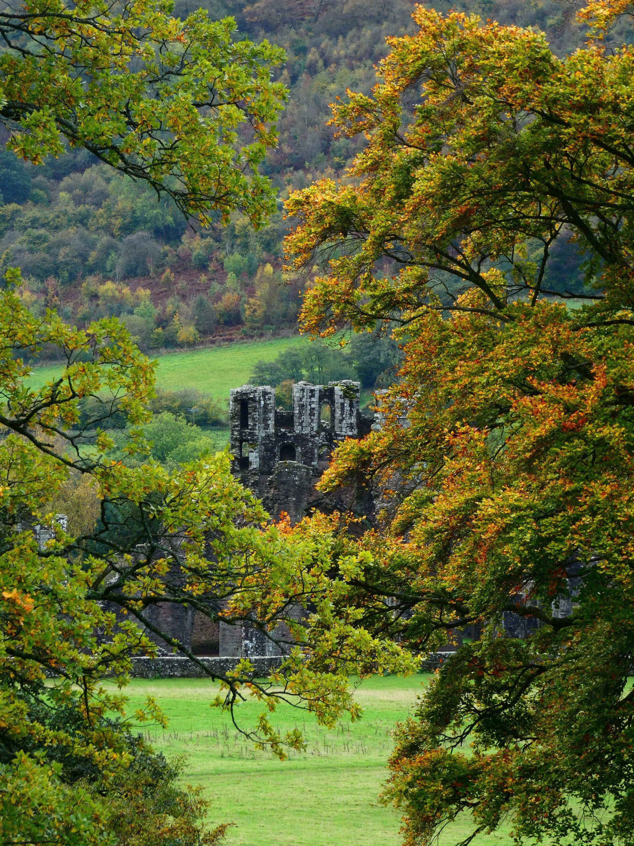 Abbey ruins.jpg