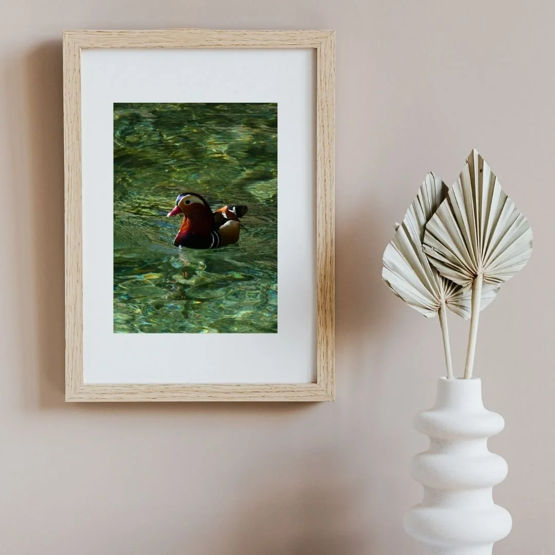 'COLOURS' fine art print