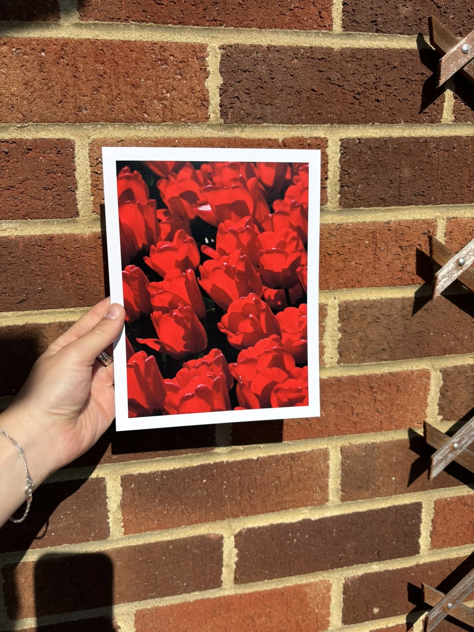 'TULIPS' finished print 2.jpg