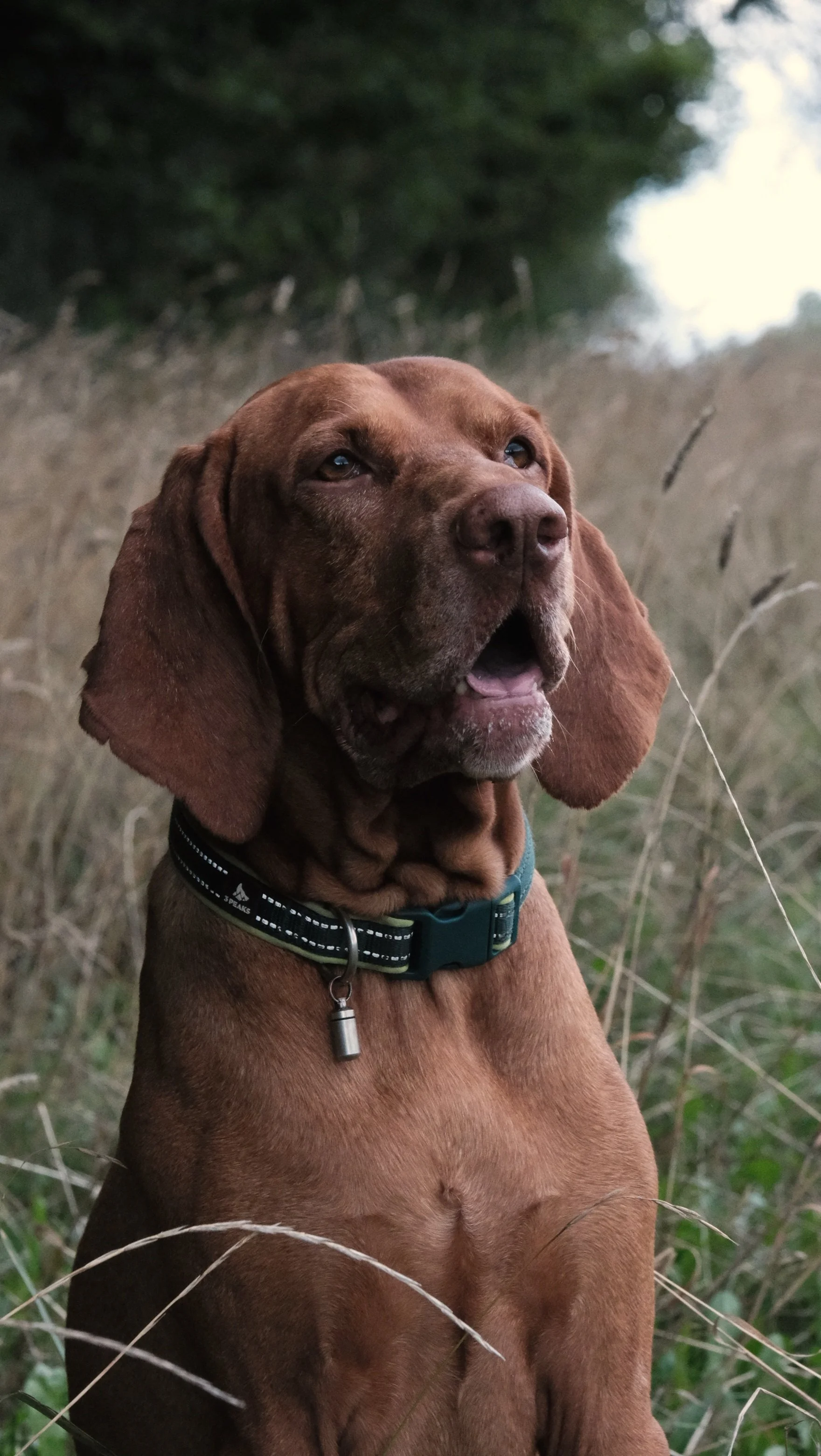 Finley 3.jpg