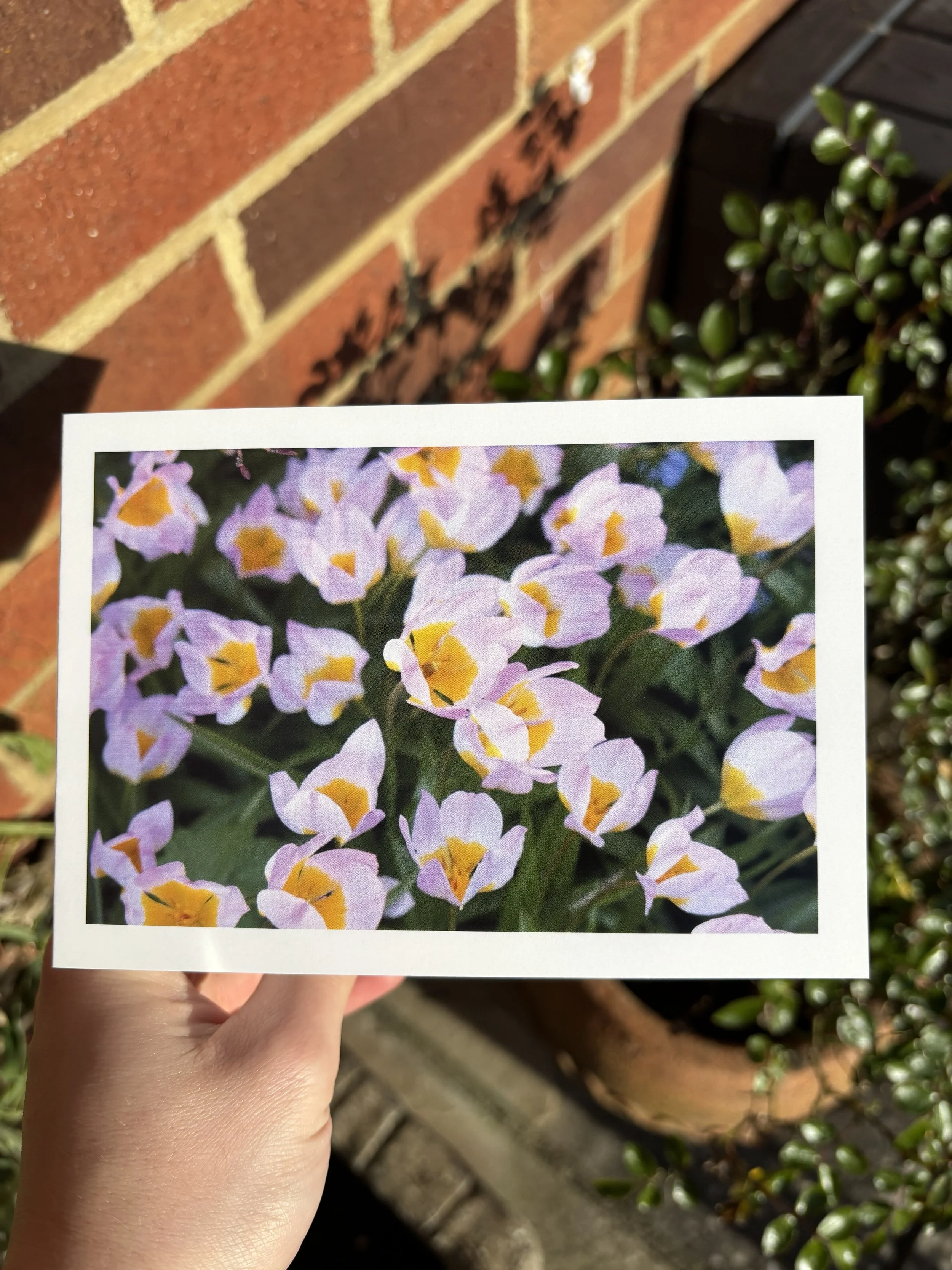 'JUMBLED' Greetings Card