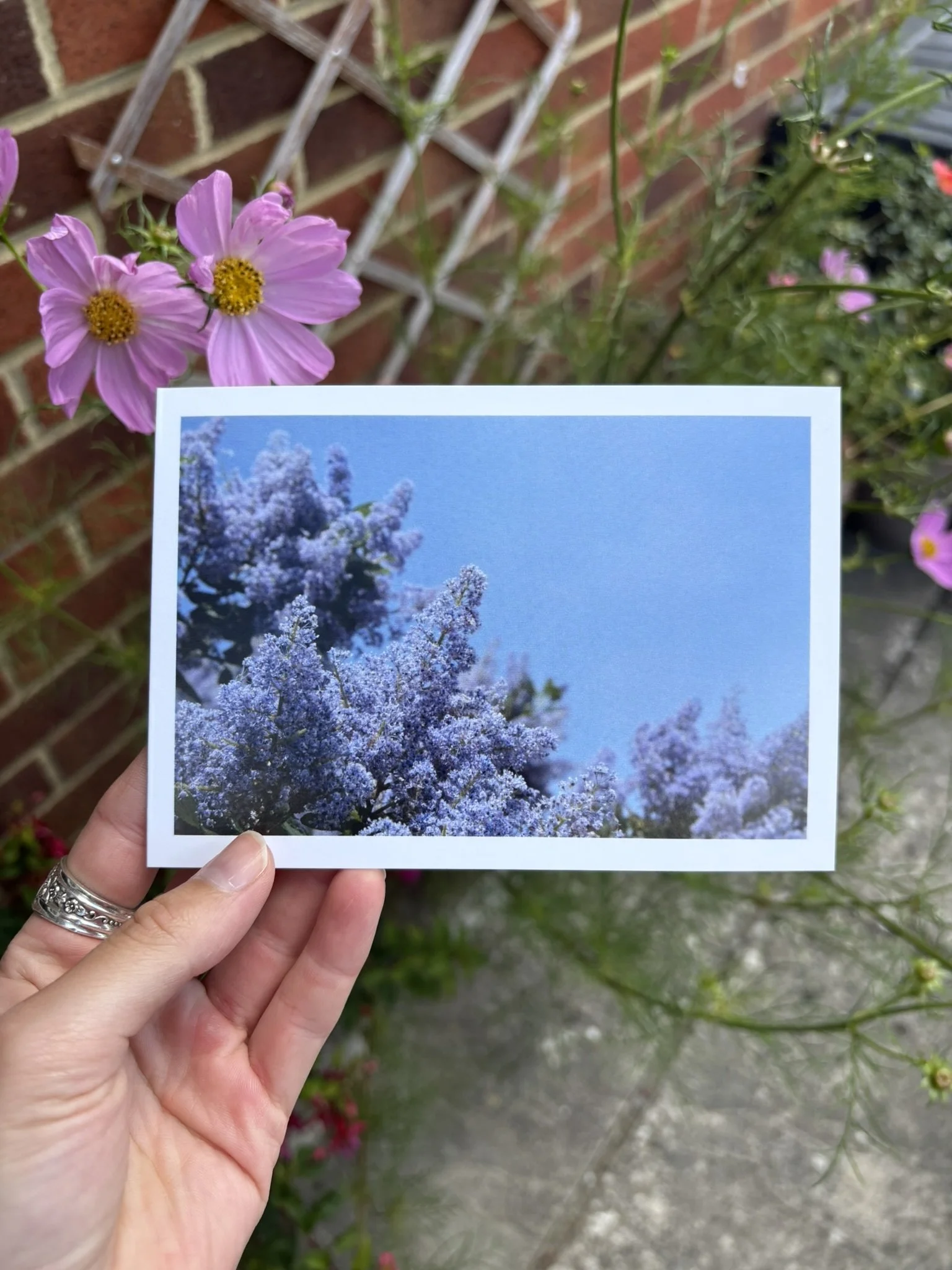 'LILAC' Greetings Card