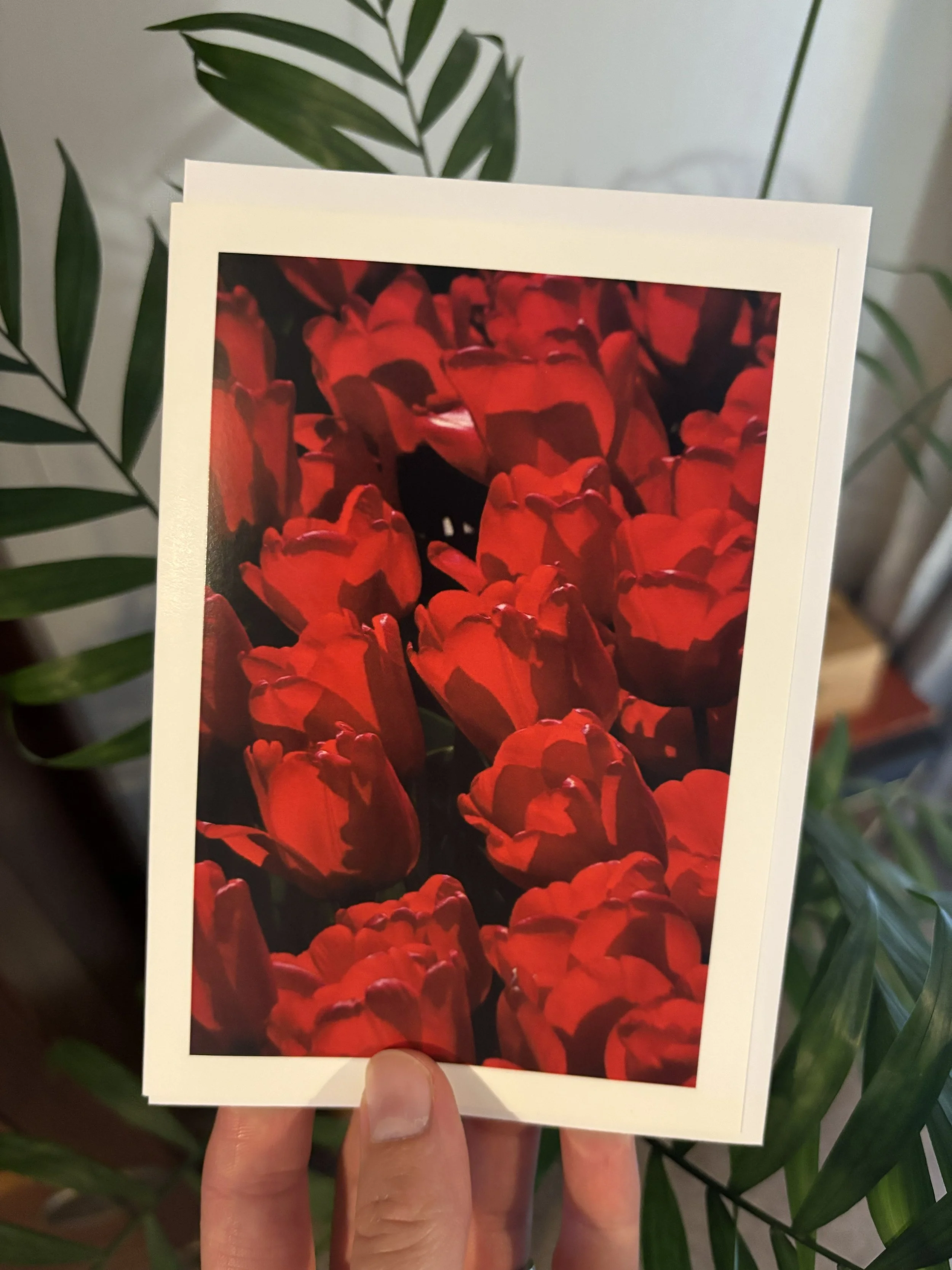 'TULIPS' Greetings Card