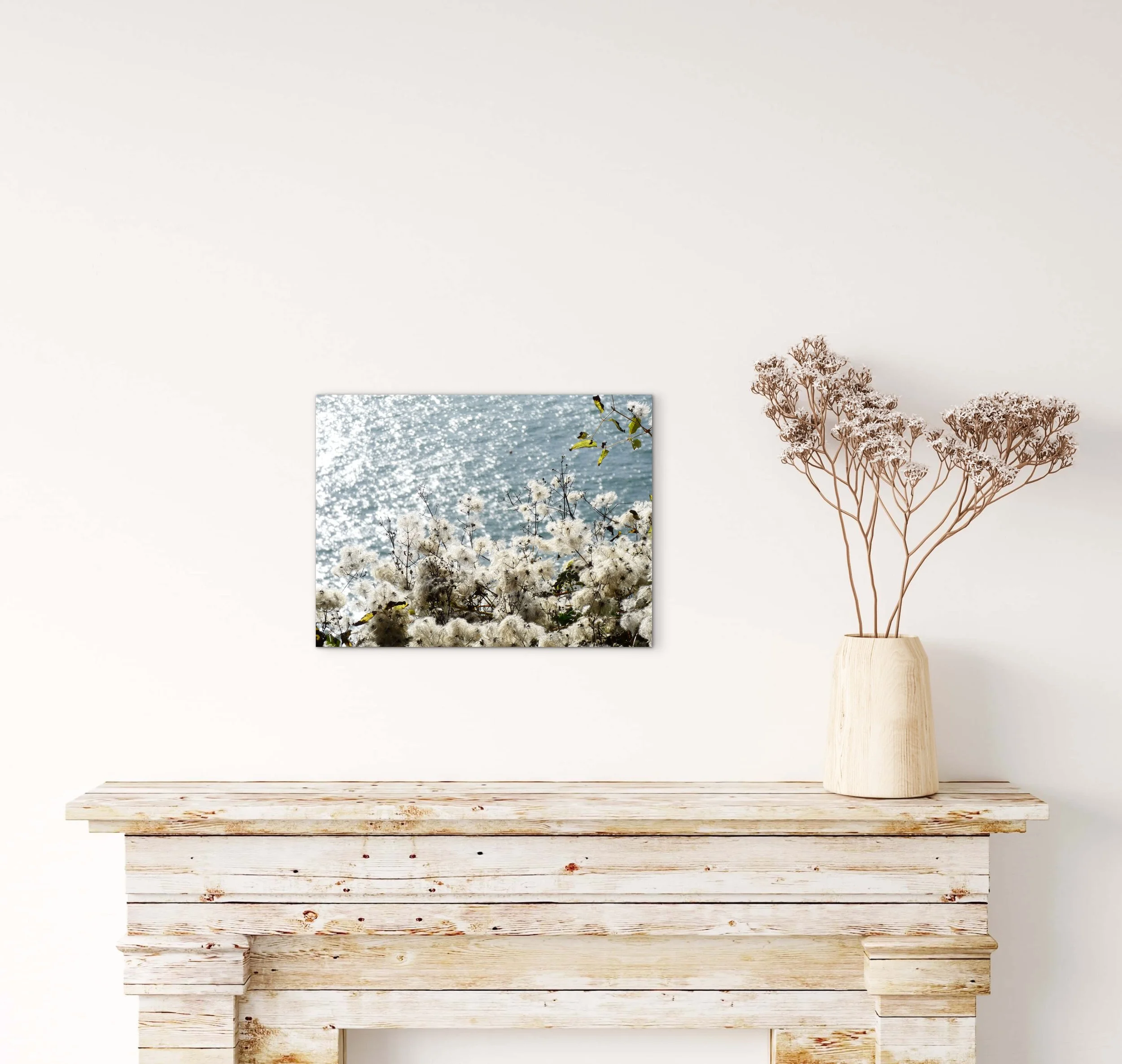 'OLD MAN'S BEARD' fine art print