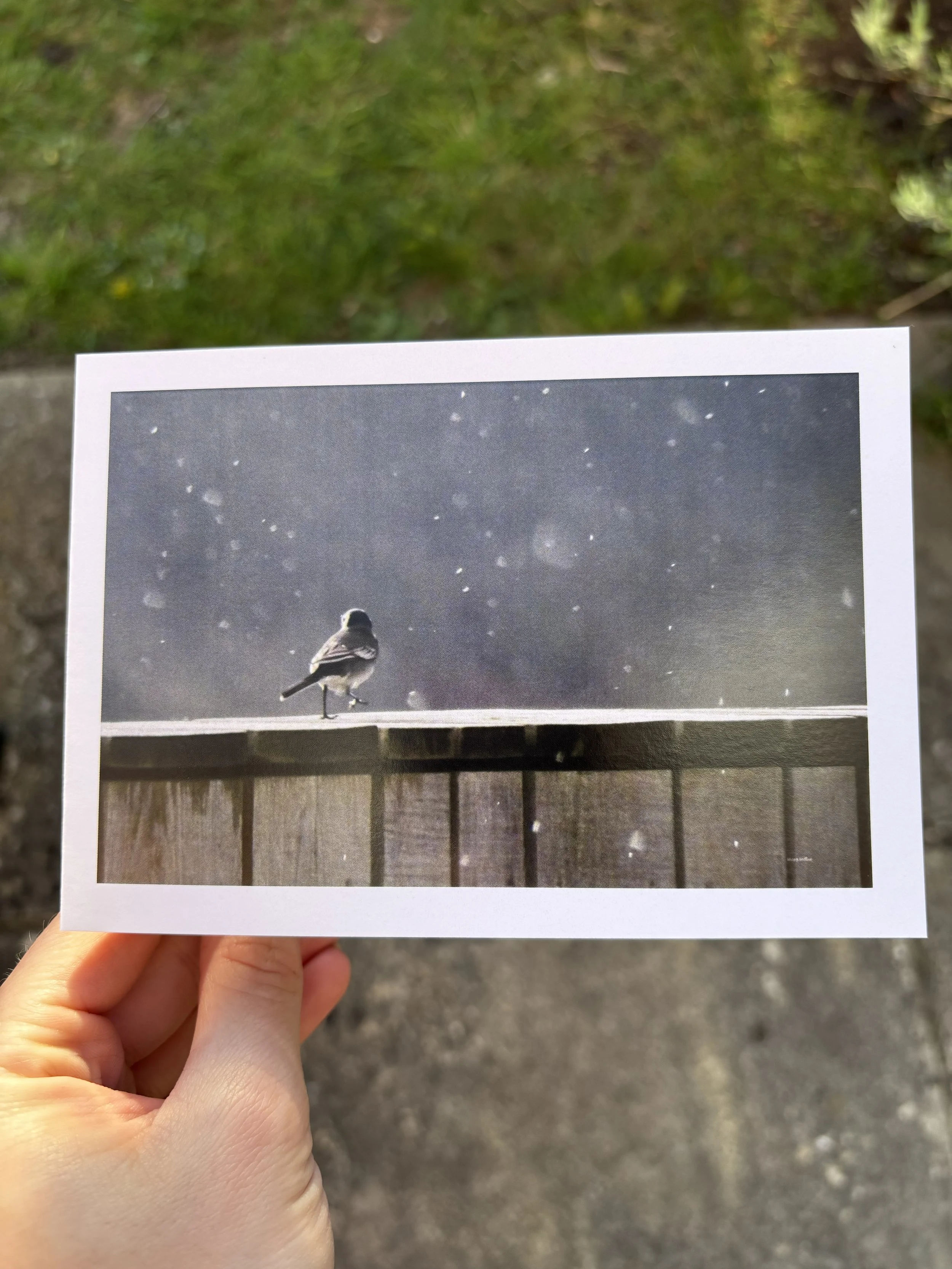 'DANCE UNDER RAINFALL' card 2.jpg