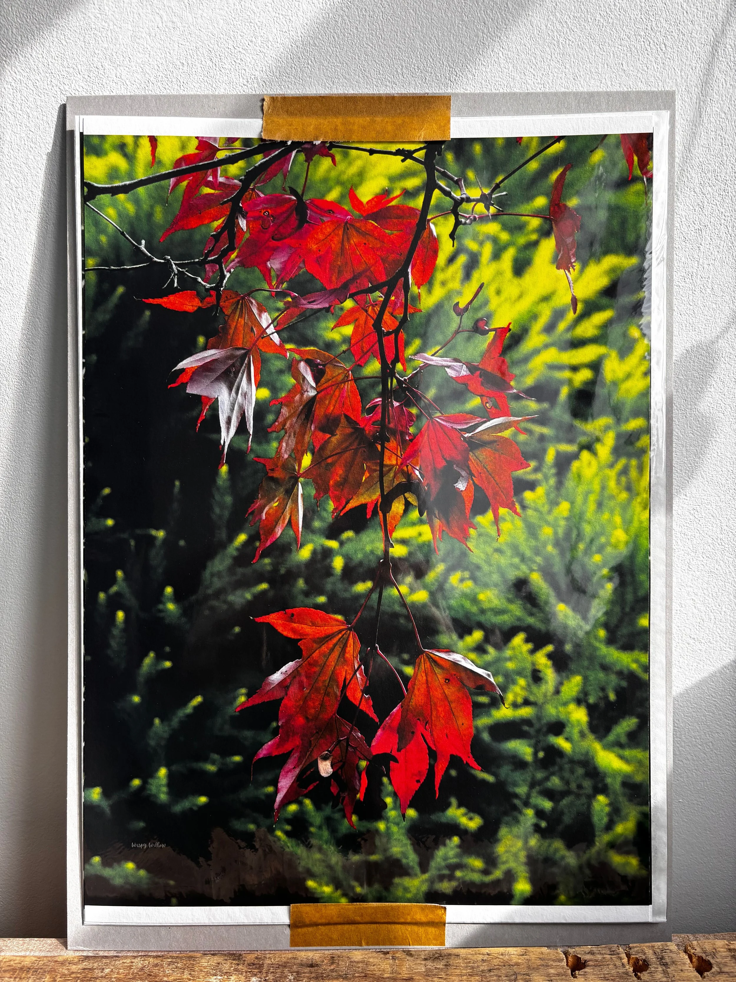 'A WISP' fine art print