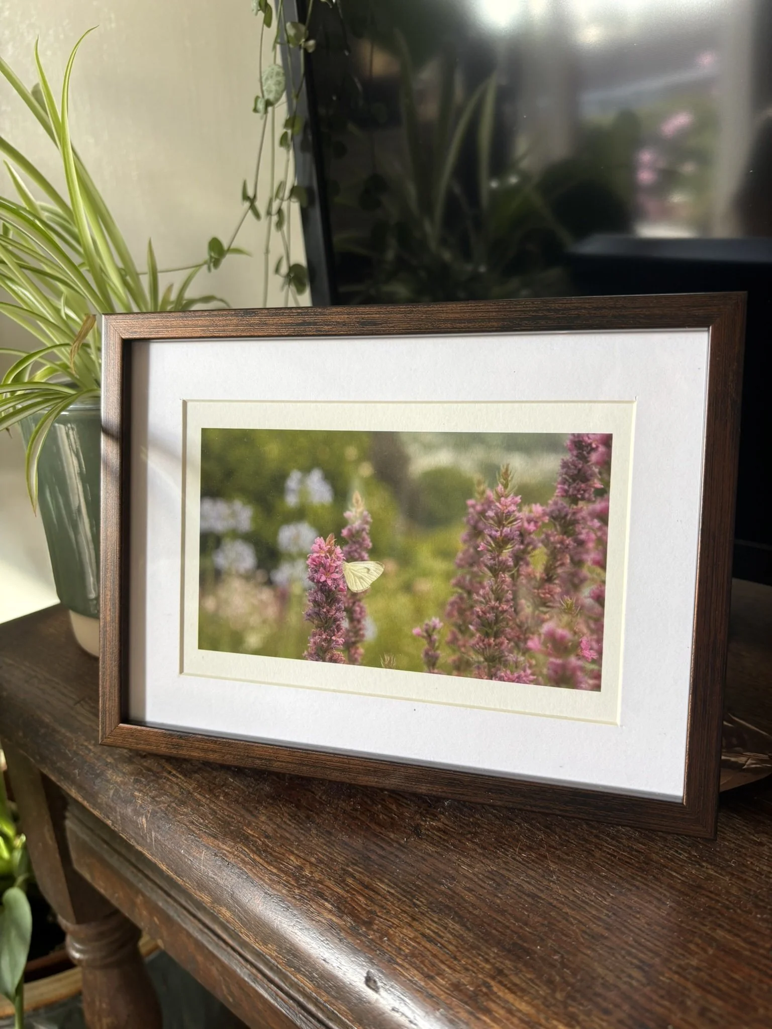 'EPHEMERAL' Fine Art Print