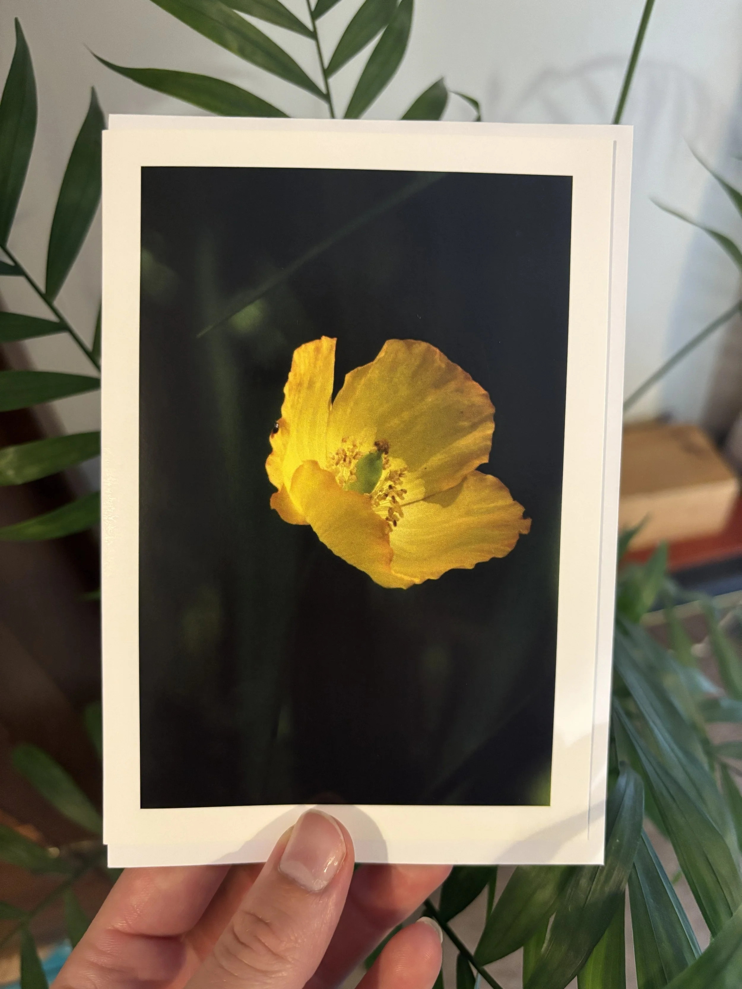 'GLOW' Greetings Card