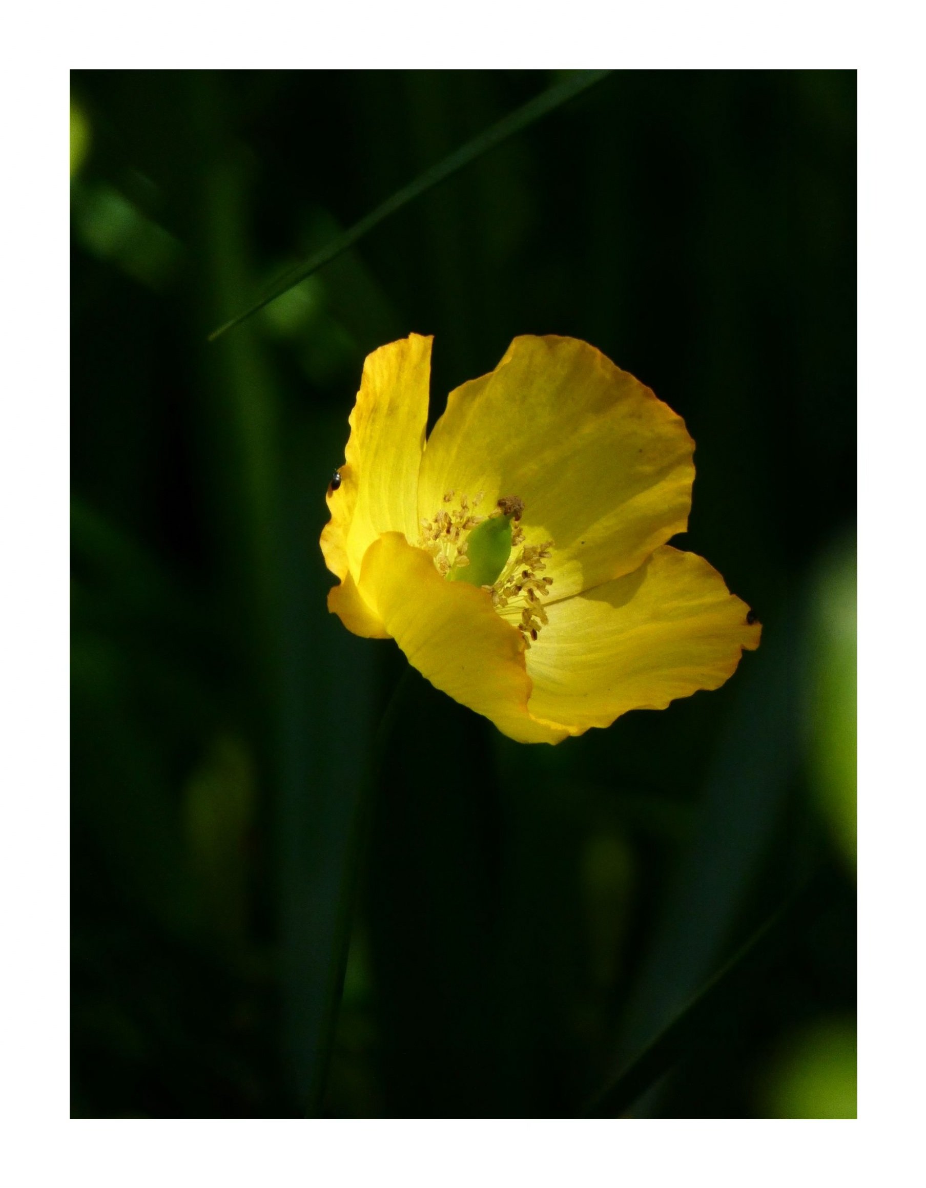 'GLOW'.jpg