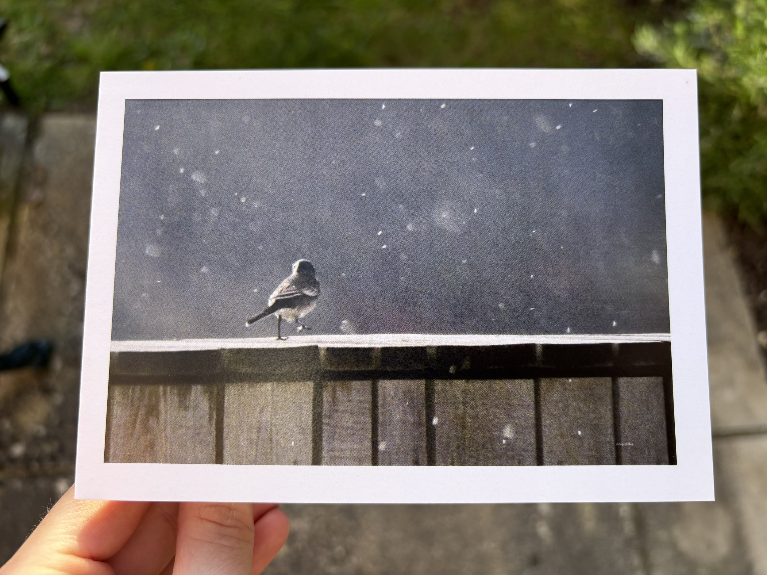 'DANCE UNDER RAINFALL' Greetings Card