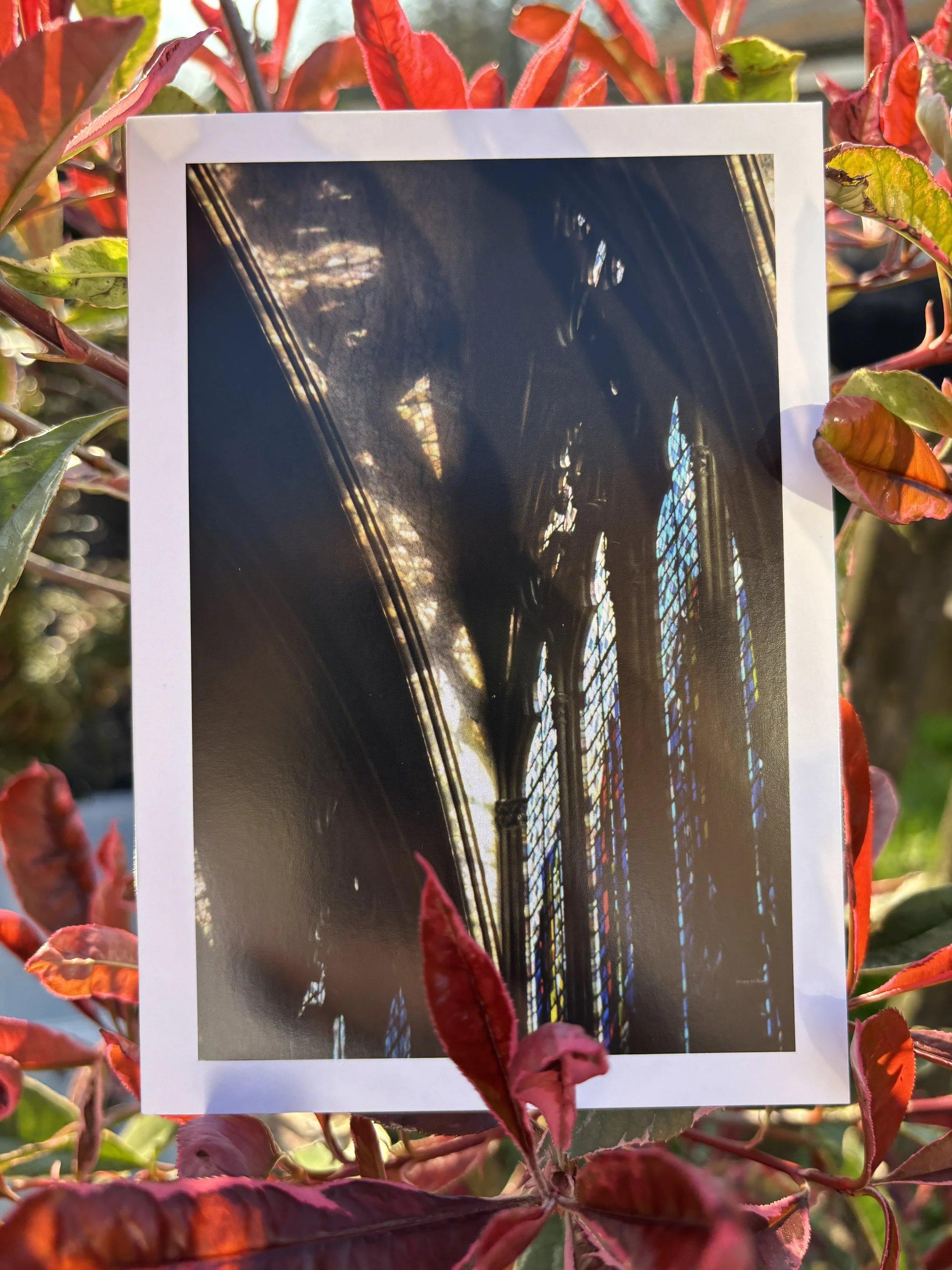 'THROUGH PANES' Greetings Card