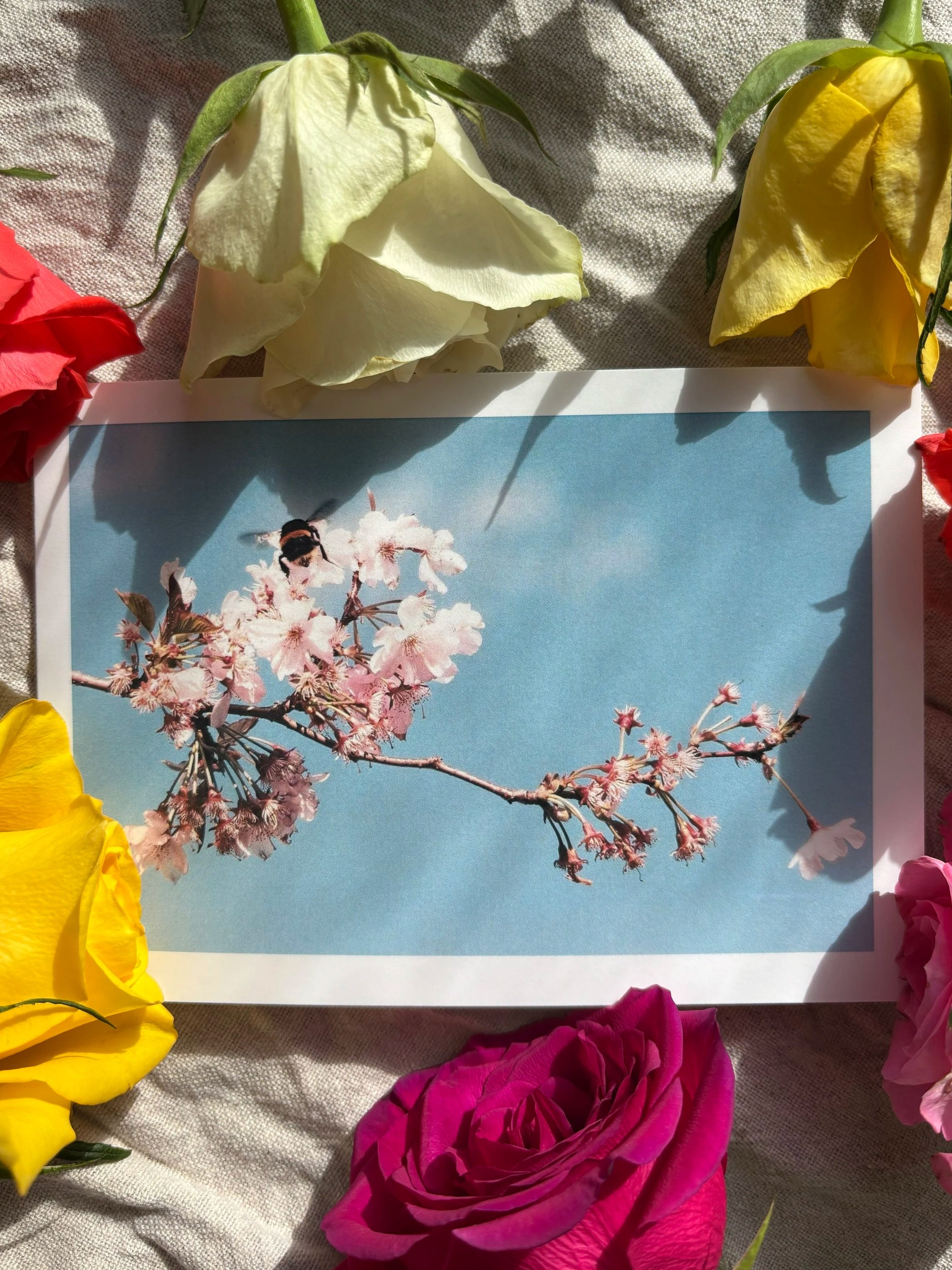 'BUMBLE' Greetings Card