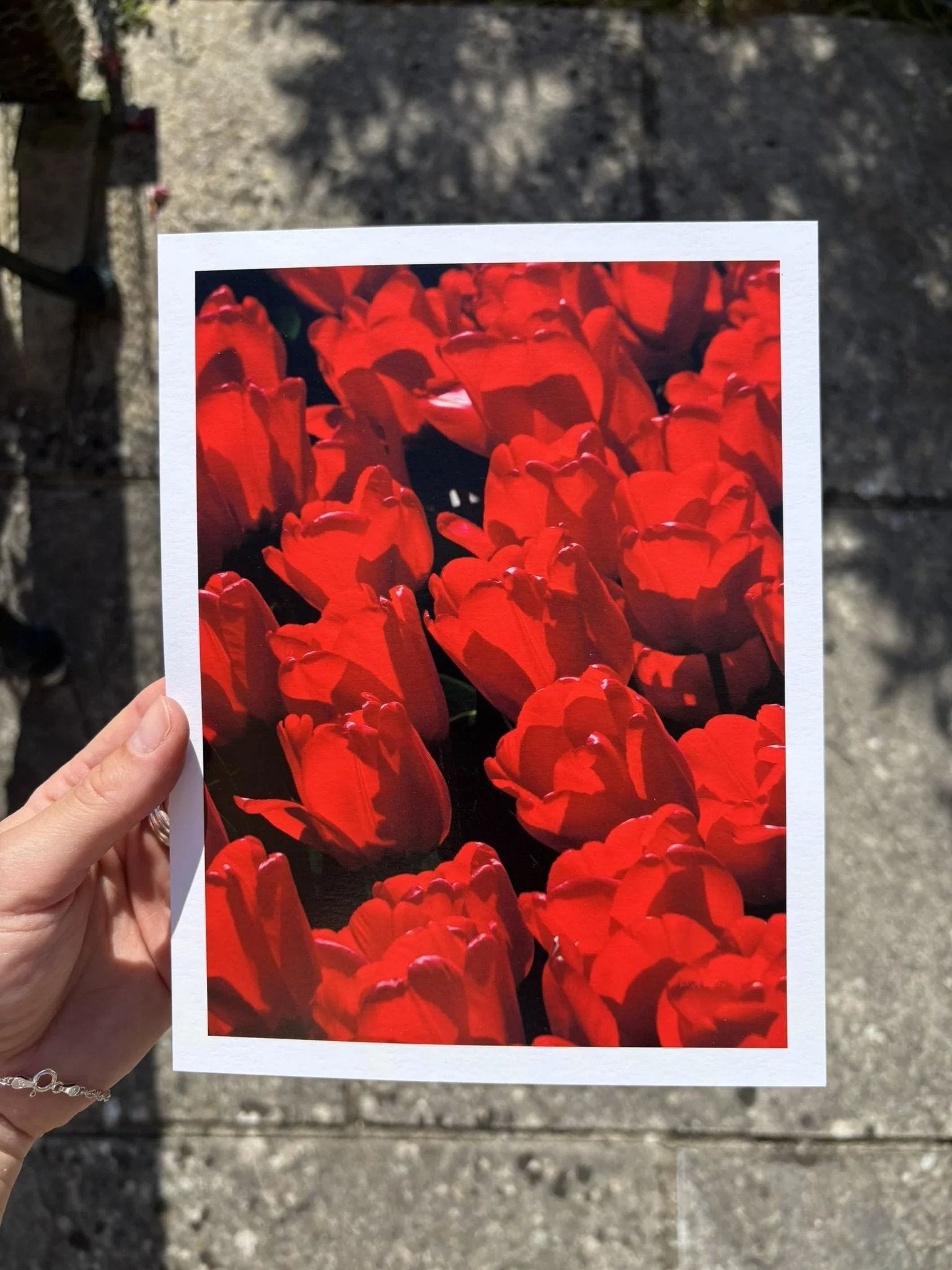 'TULIPS' finished print 3.jpg
