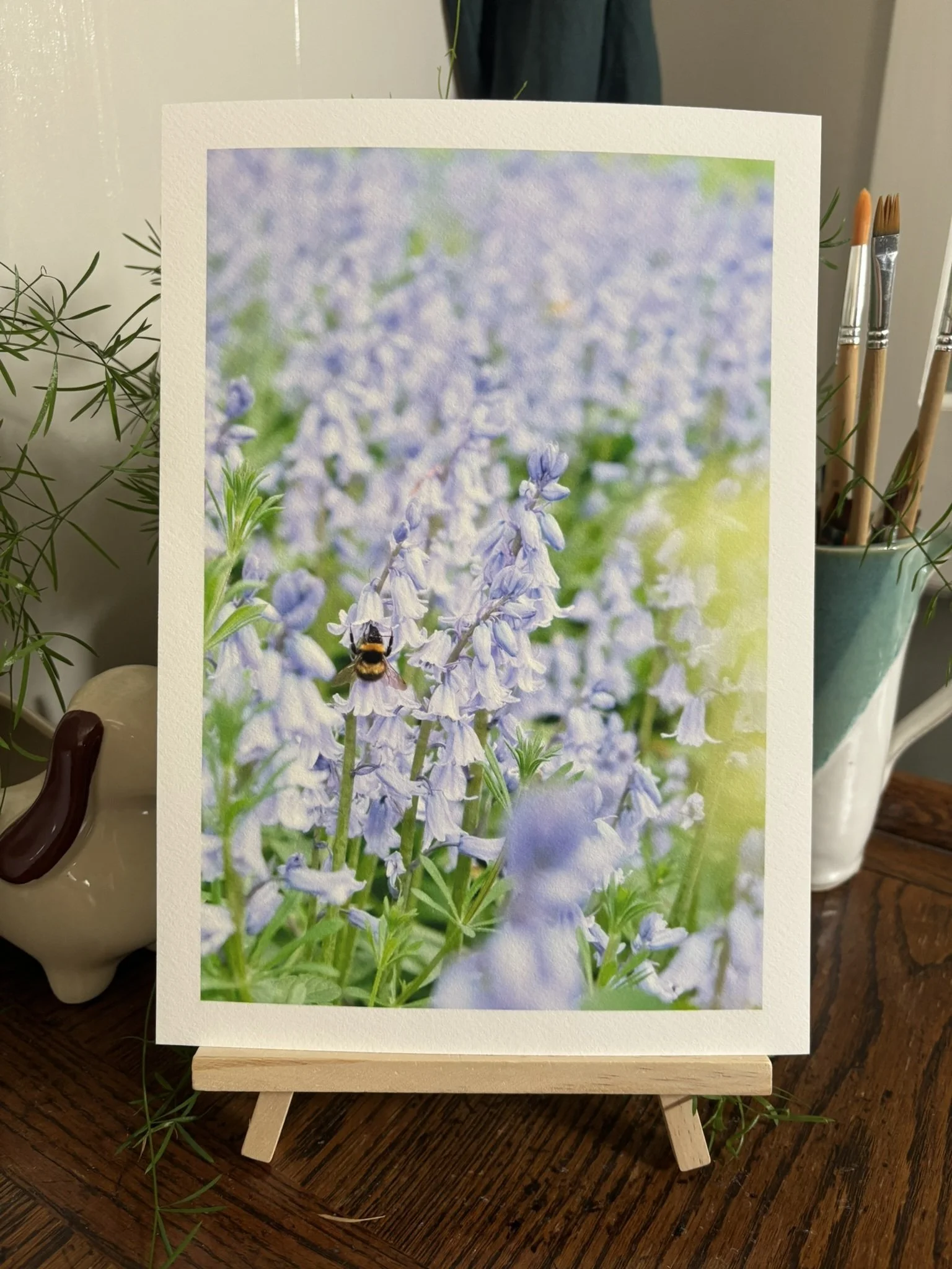 'HUES' Fine Art Print