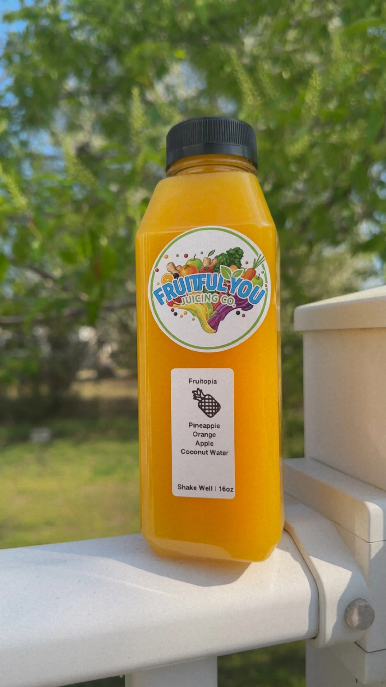 Fruitopia Natures Gatorade 12oz