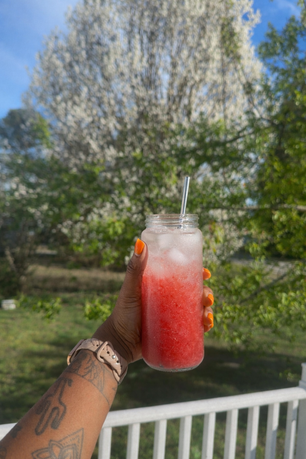 Hydraberry Natures Gatorade 12oz