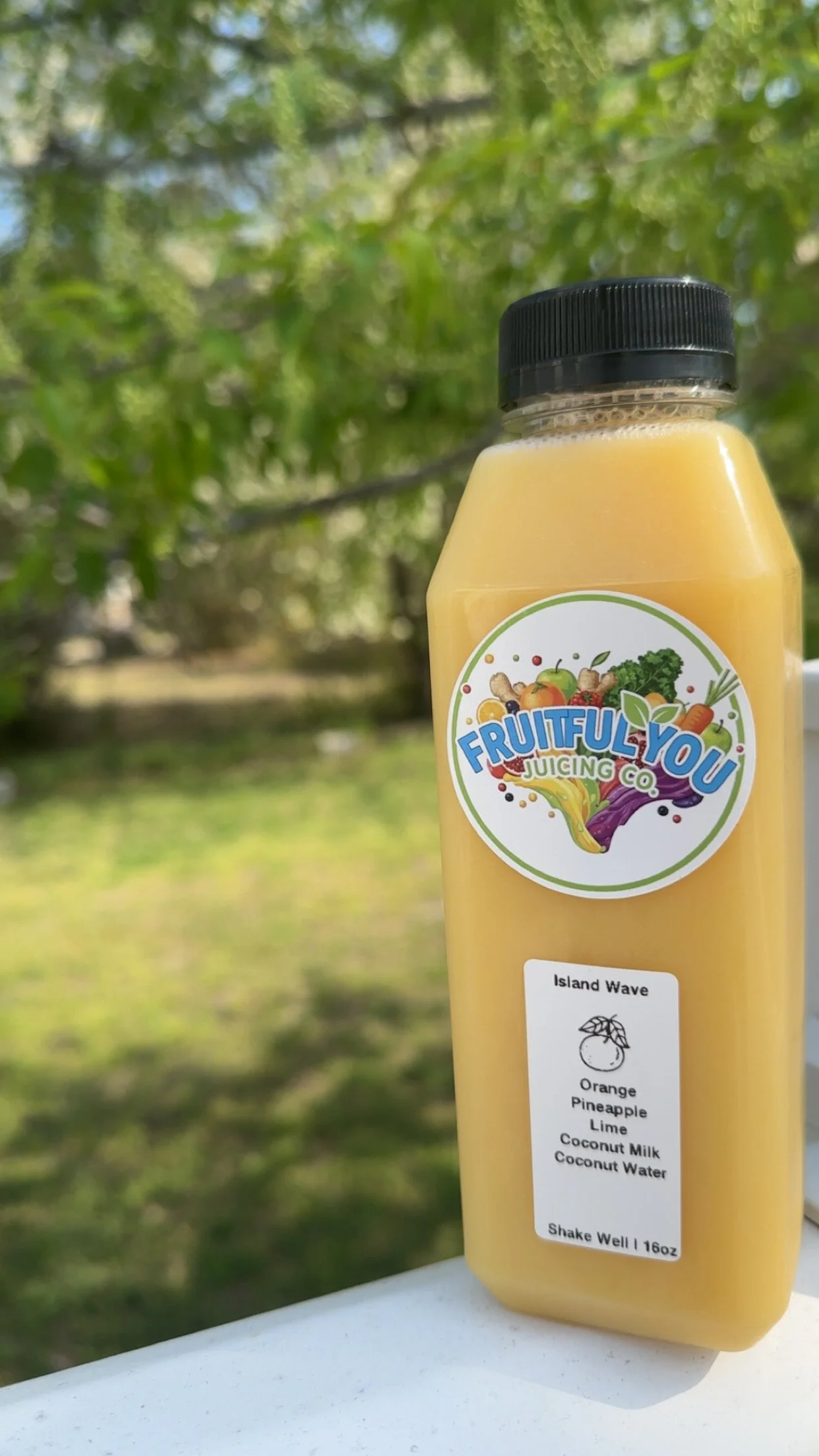 Island Wave Natures Gatorade 12oz