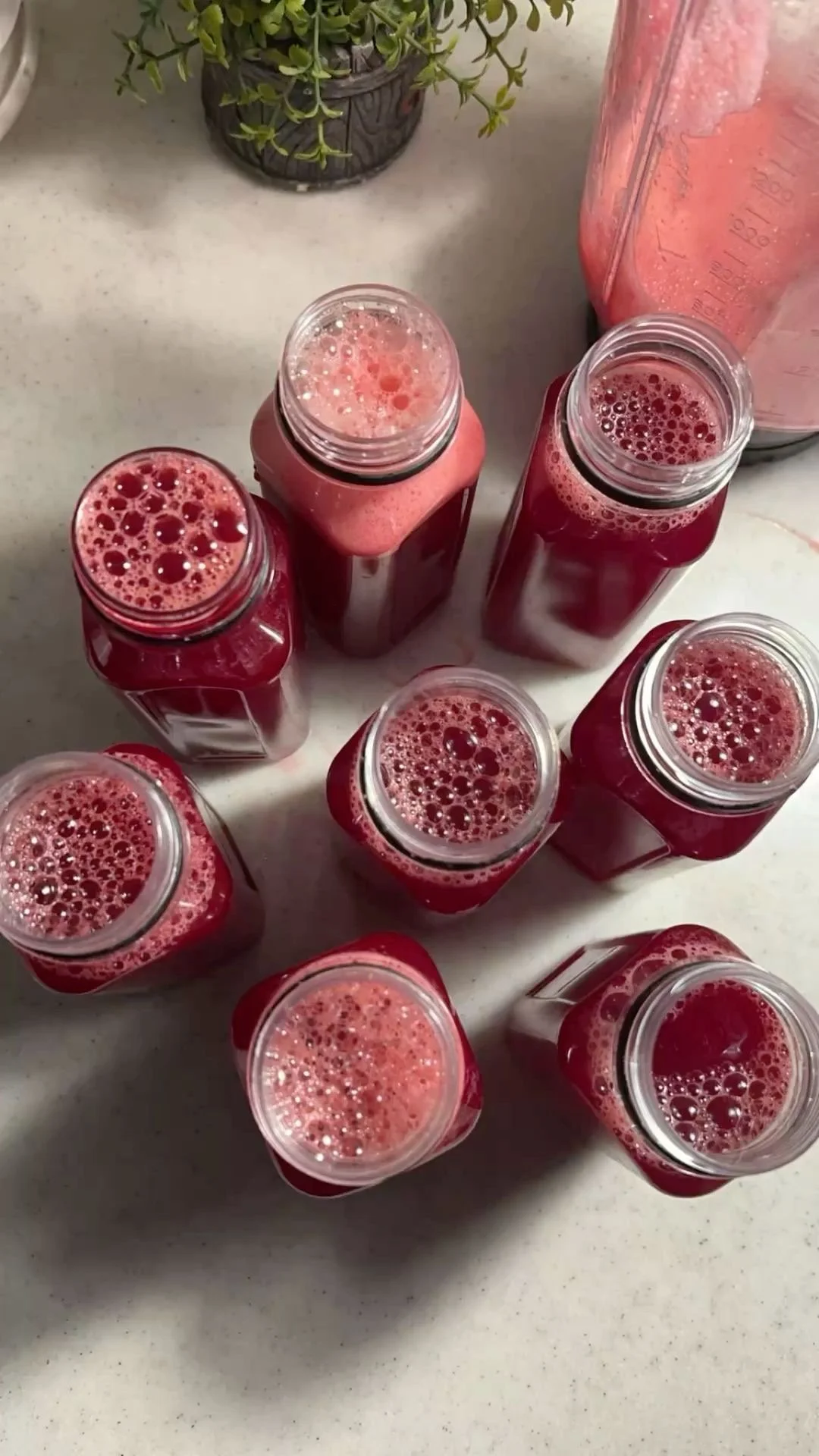 Watermelon Refresher – 16 oz