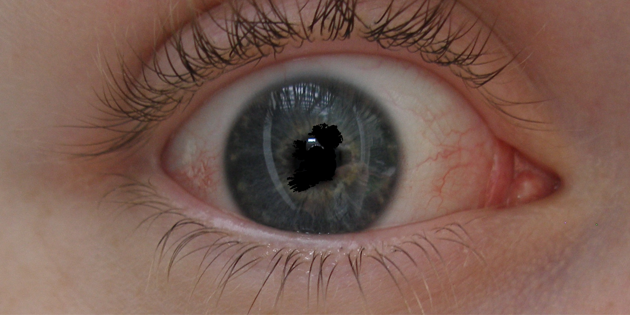 THE ELECTORAL COMMISSION