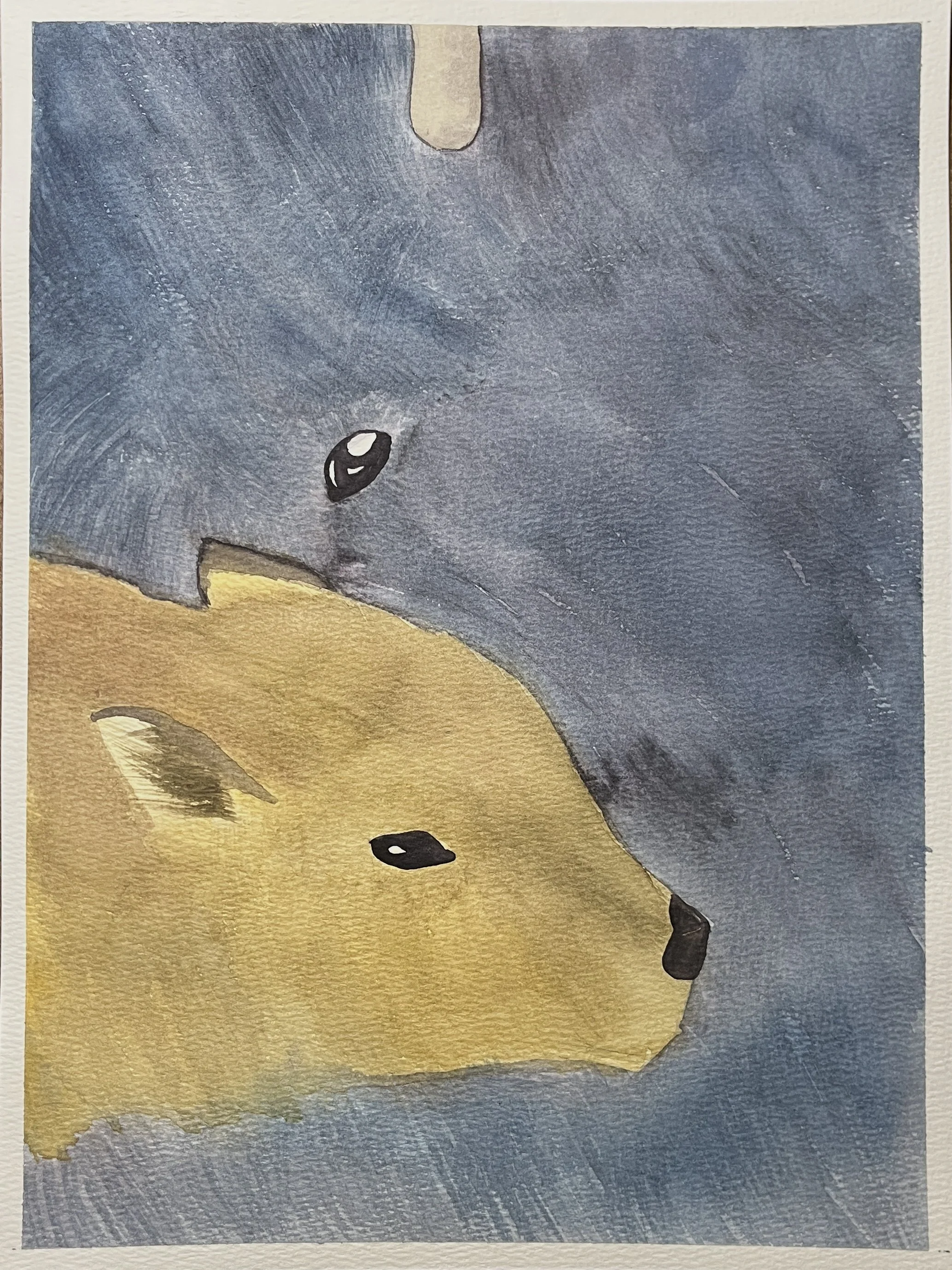 Bison and her calf (photo1).jpg