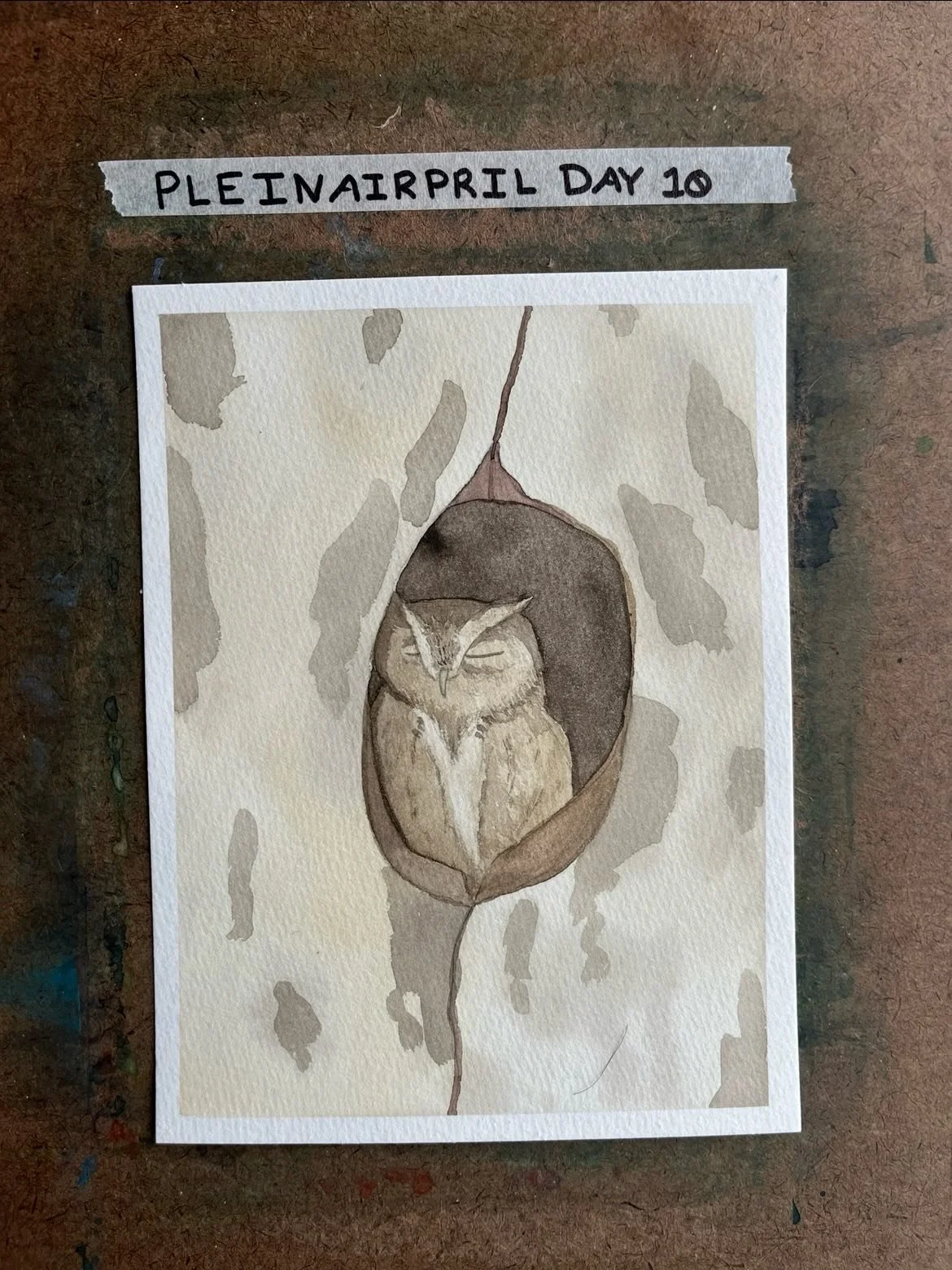 #PleinAirpril Day 10

One third of the way there!! Today's piece was inspired by @laughingmantisphoto 's recent adorable sleeping owl.

#pleinairpril2026 @warriorpainters