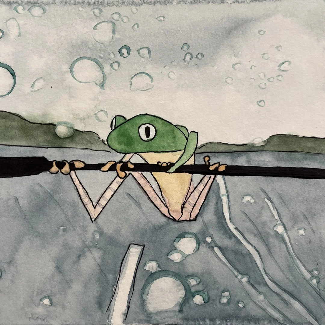 Windshield Frog