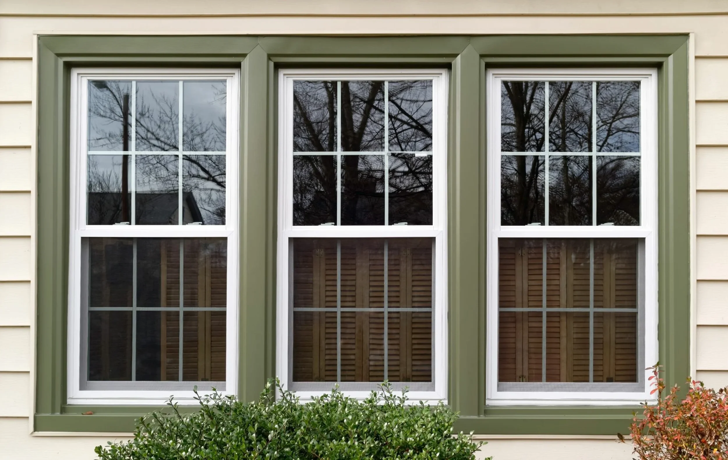 Three double-hung windows with white frames and green trim on a beige house, with a bush and small shrub in front, and trees reflected in the glass.