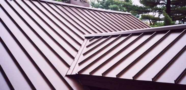 Close-up view of a metal roof with standing seam panels on a building, with trees visible in the background.