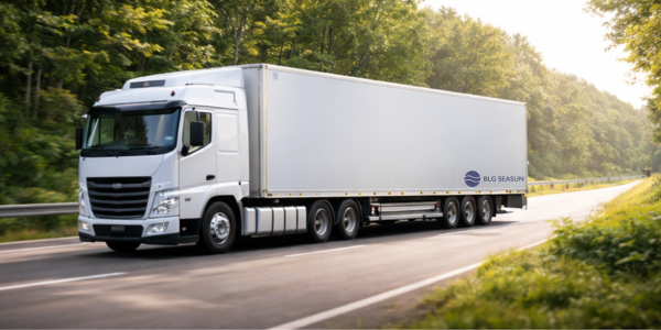 BLG SEASUN is a global transport, warehousing, and logistics company offering road, sea, and air freight international shipping services.