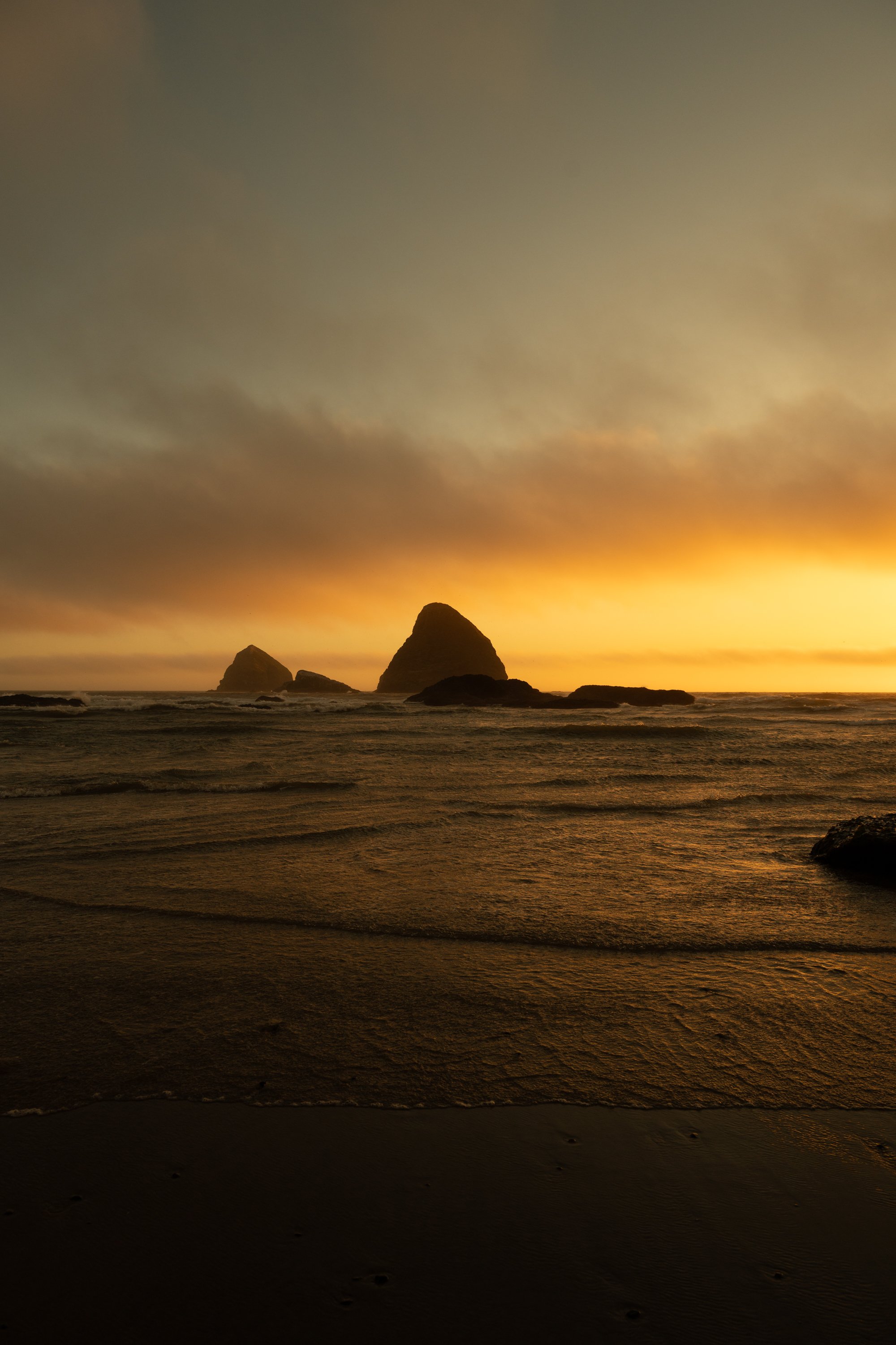 DSC_2529.jpg