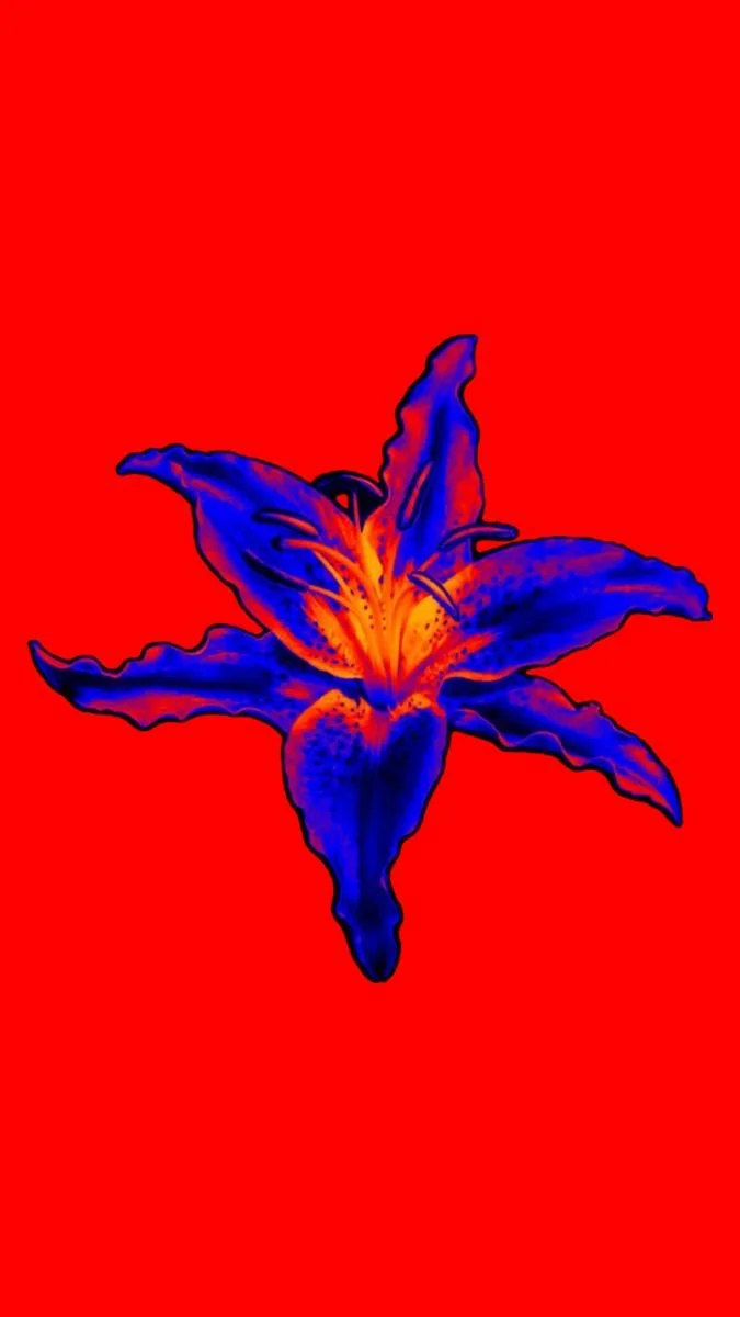 Lys stylisé bleu et orange sur fond rouge vif